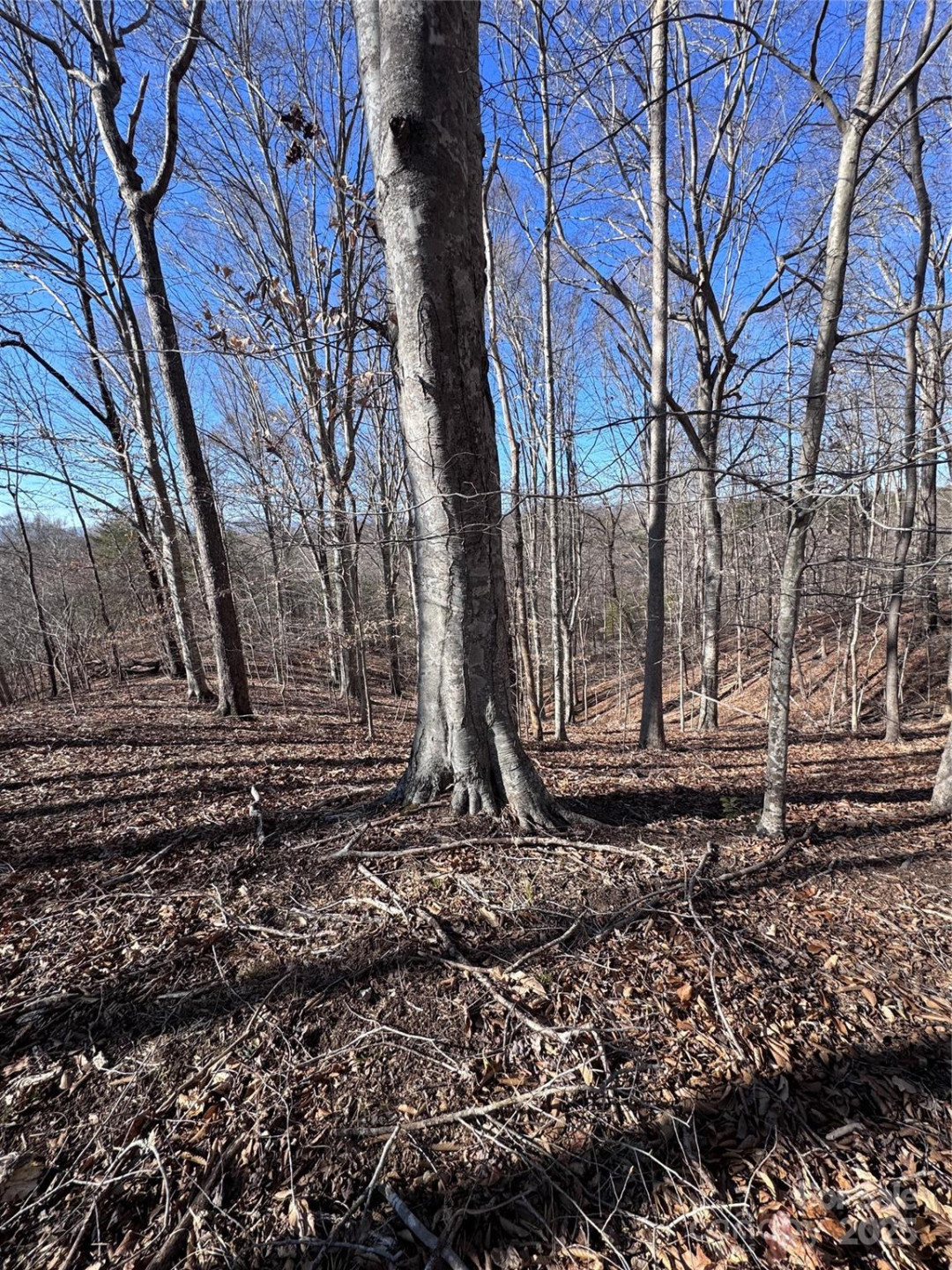 0 Cross Creek Drive #136A - Photo 23