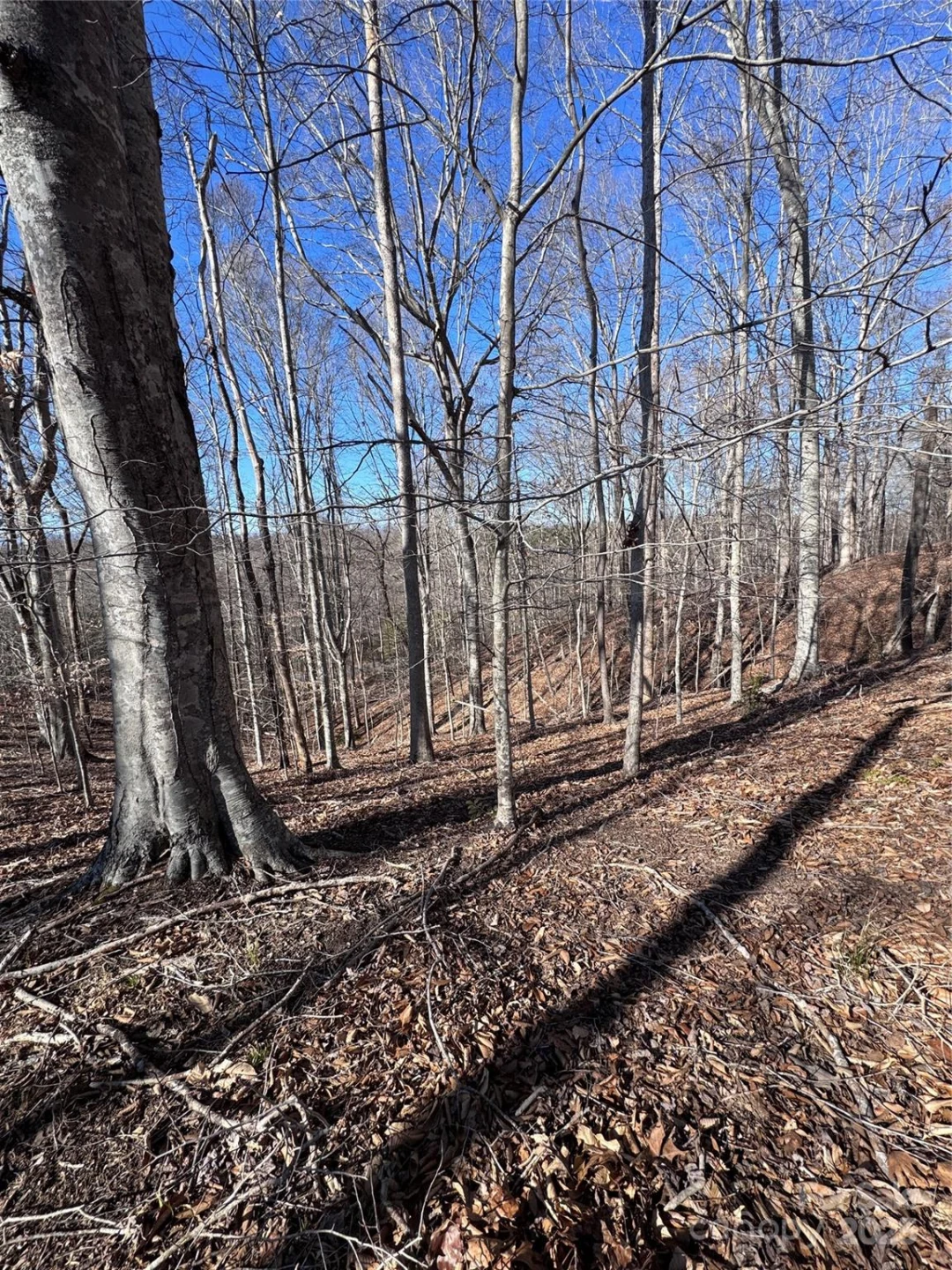 0 Cross Creek Drive #136A - Photo 24