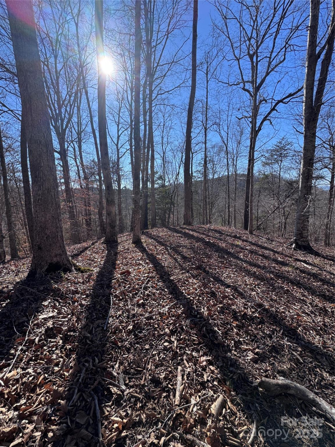 0 Cross Creek Drive #136A - Photo 25