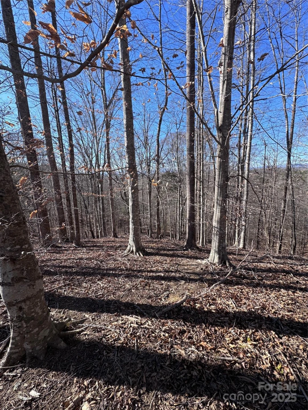 0 Cross Creek Drive #136A - Photo 26