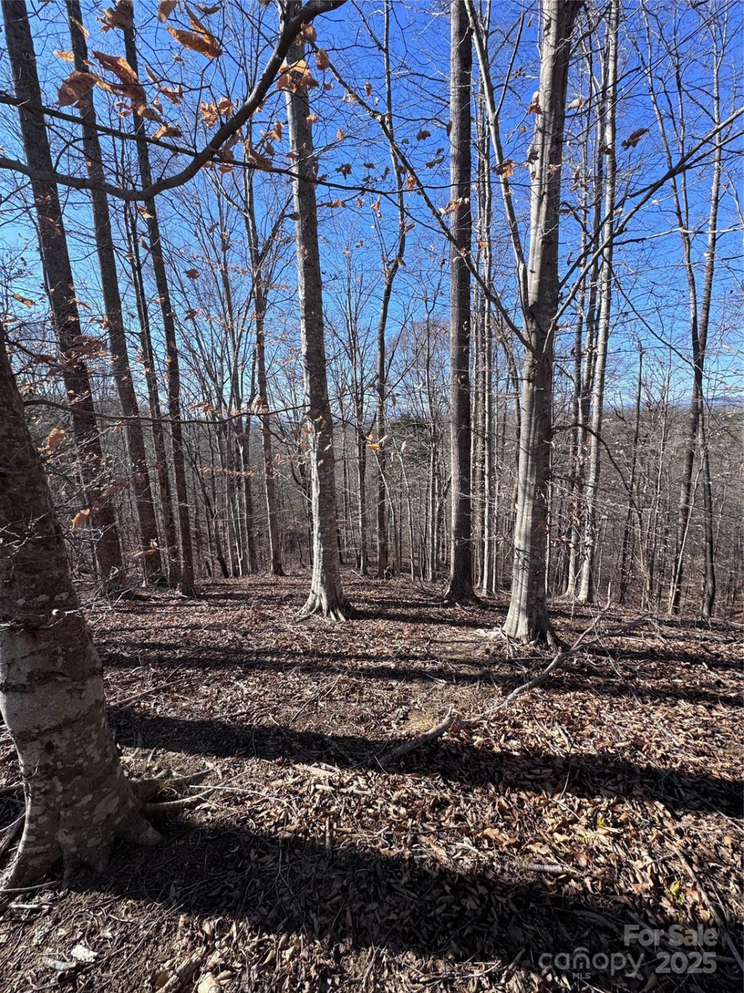 0 Cross Creek Drive #136A - Photo 28