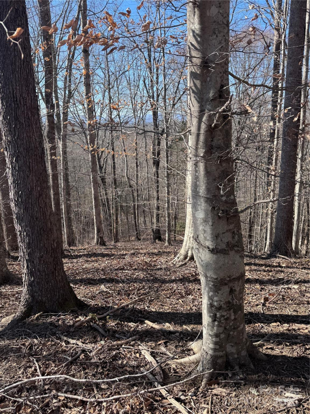 0 Cross Creek Drive #136A - Photo 4