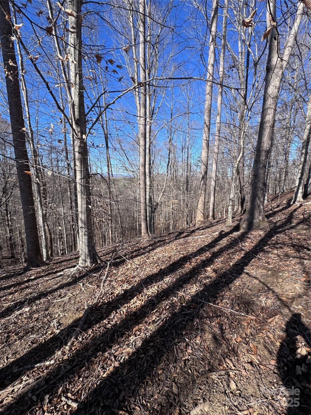 0 Cross Creek Drive #136A - Photo 5