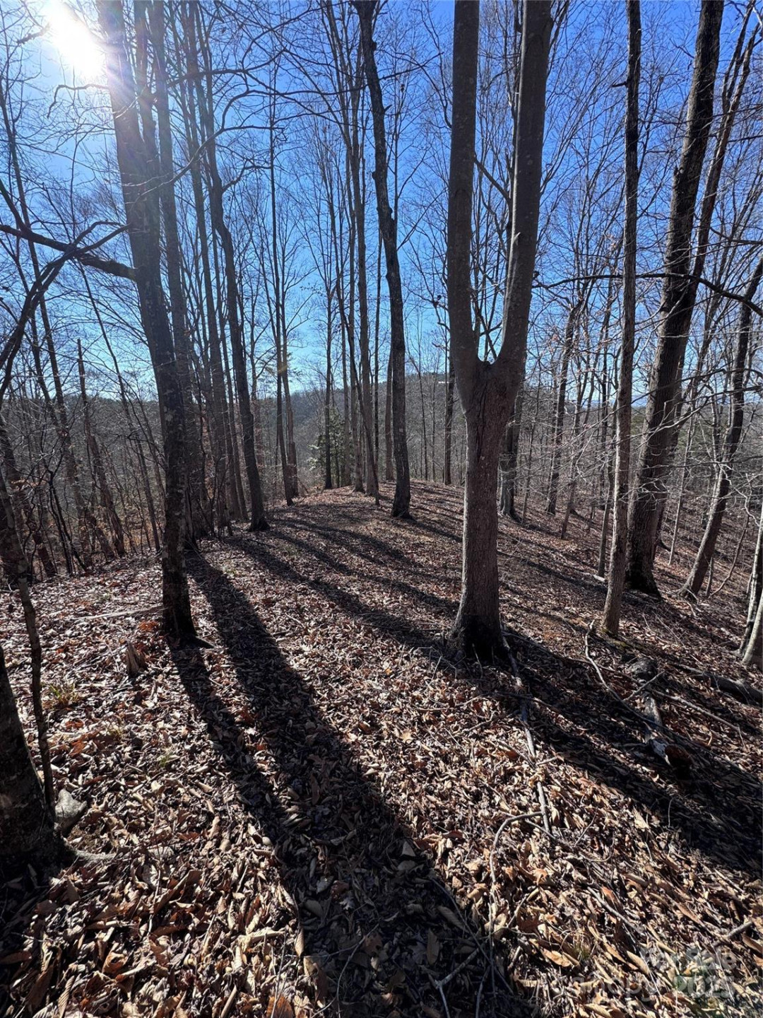 0 Cross Creek Drive #136A - Photo 6