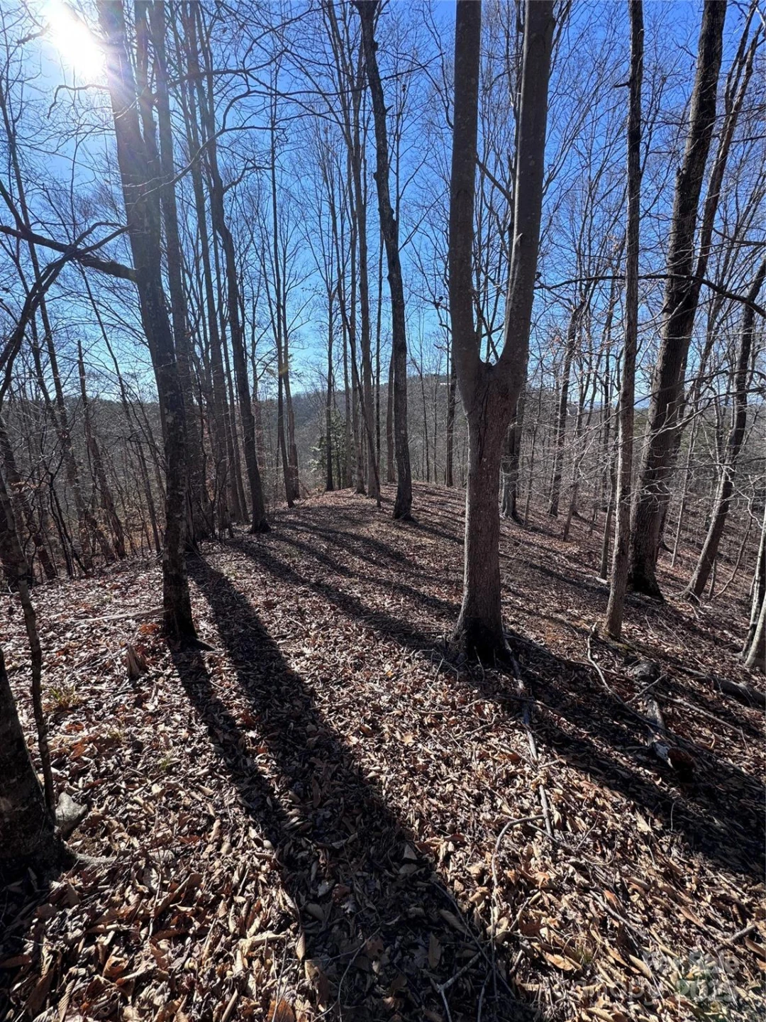 0 Cross Creek Drive #136A - Photo 6