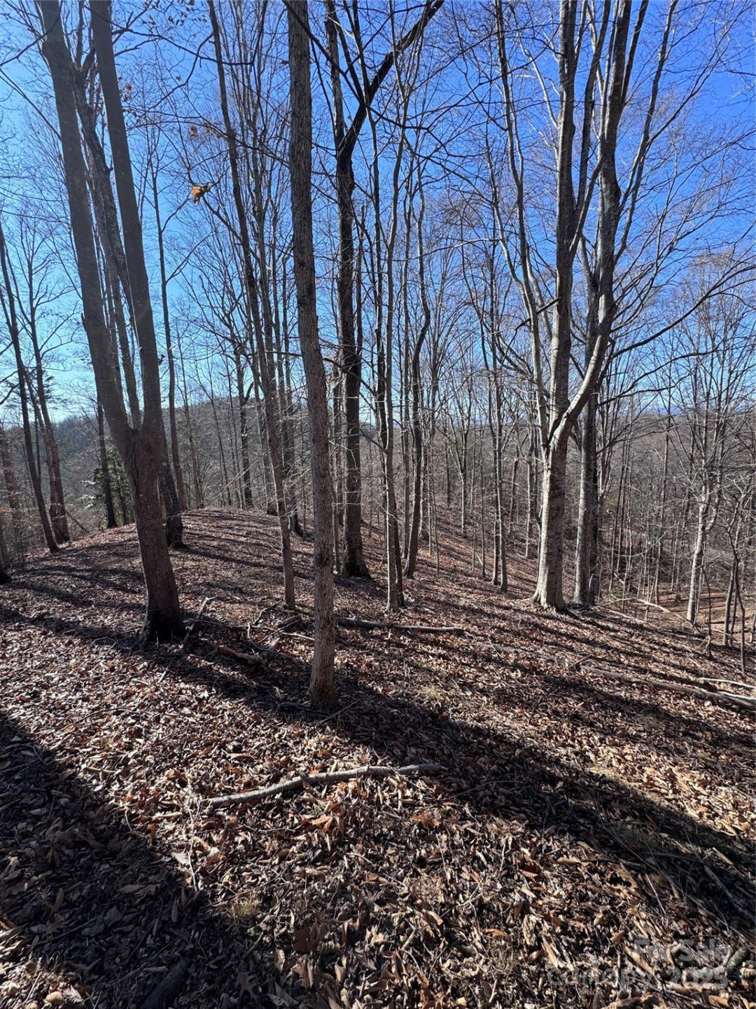 0 Cross Creek Drive #136A - Photo 7