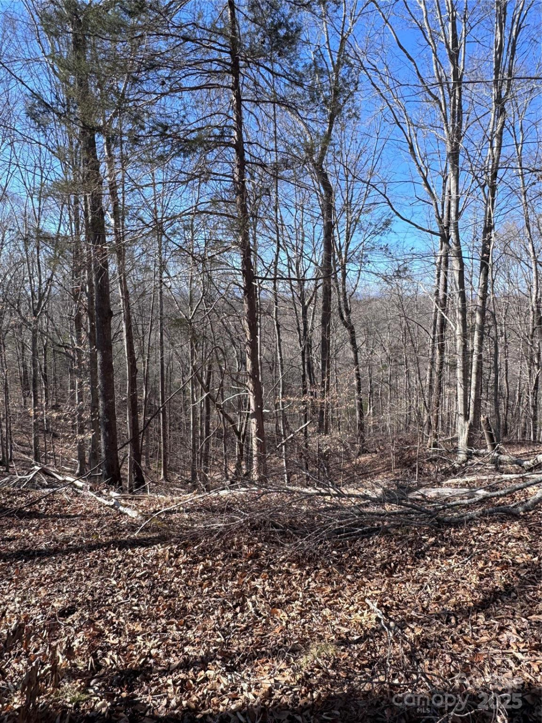 0 Cross Creek Drive #136A - Photo 8