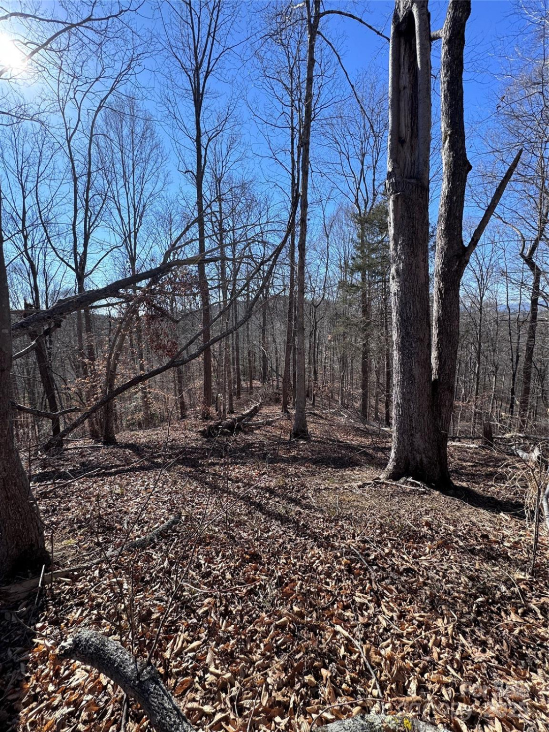 0 Cross Creek Drive #136A - Photo 9