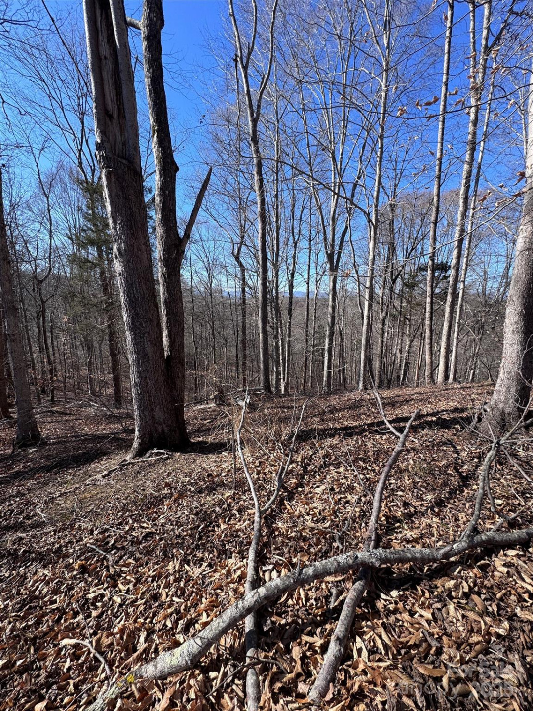 0 Cross Creek Drive #136A - Photo 10