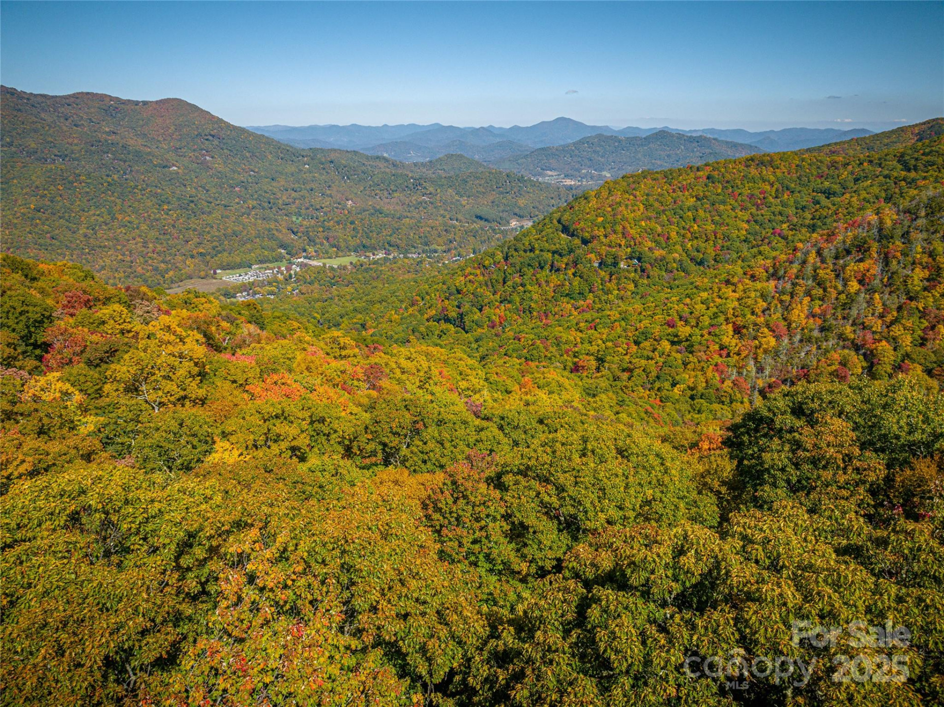 202 Nuthatch Lane #202 & 203 - Photo 2