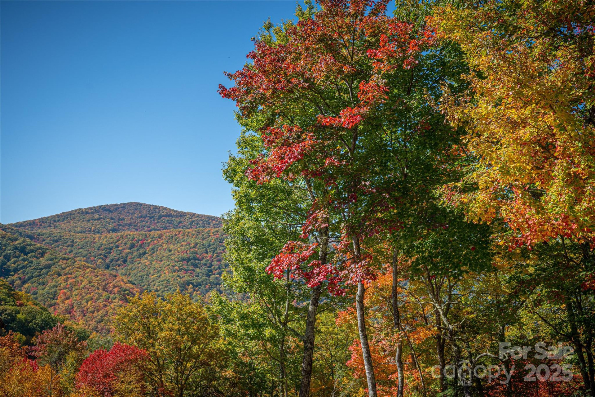 202 Nuthatch Lane #202 & 203 - Photo 11