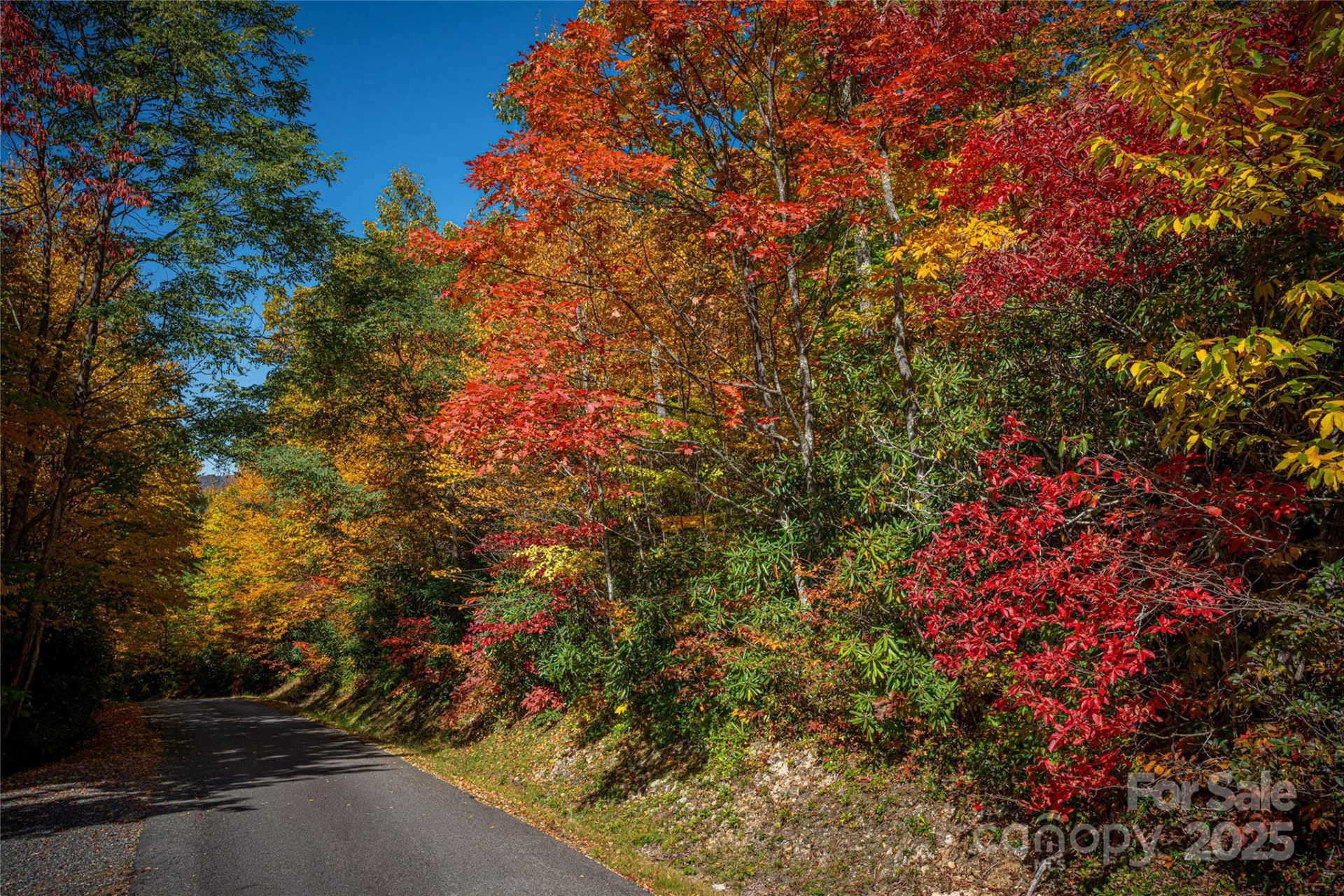 202 Nuthatch Lane #202 & 203 - Photo 13