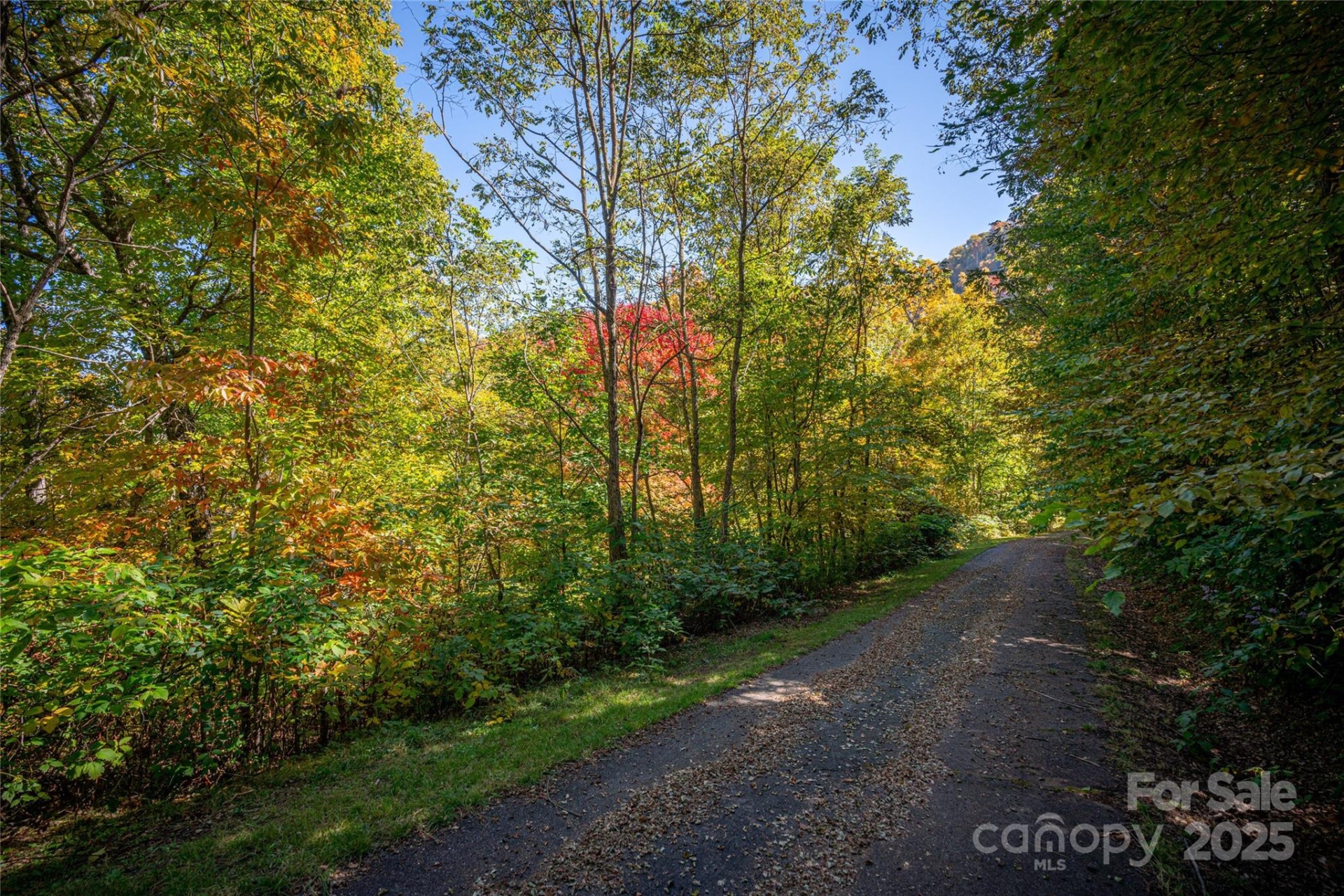 202 Nuthatch Lane #202 & 203 - Photo 5