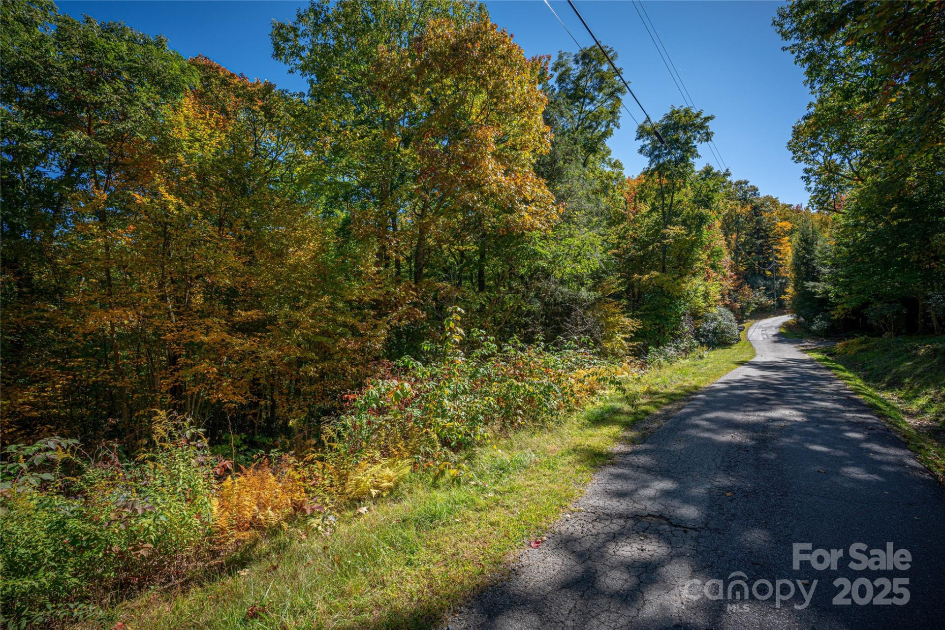 202 Nuthatch Lane #202 & 203 - Photo 8