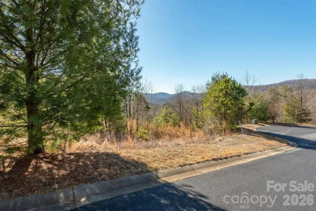 99999 Woodhen Way, Horse Shoe, NC, 28742