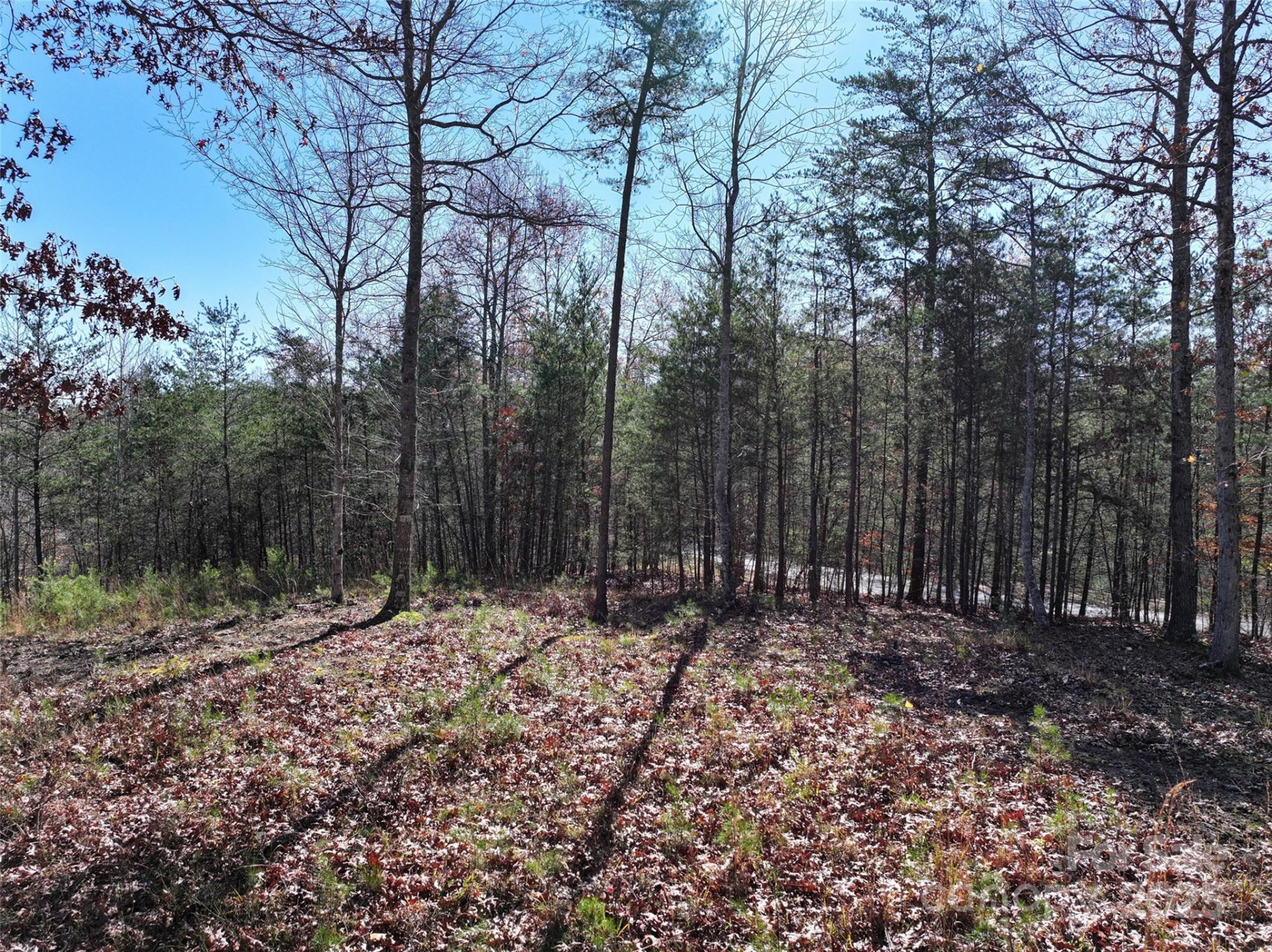 181 Red Fox Trail #18 - Photo 11