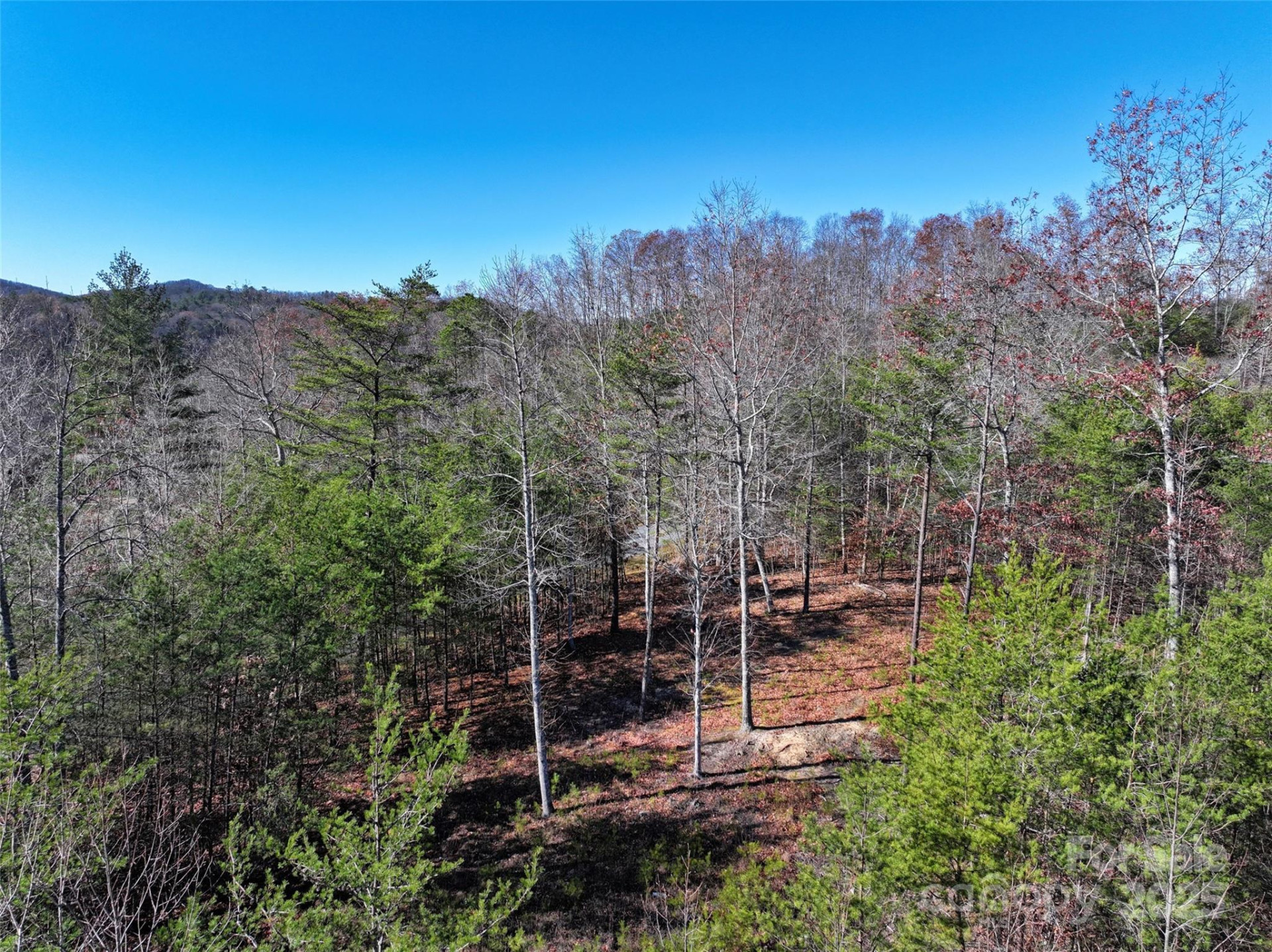 181 Red Fox Trail #18 - Photo 12