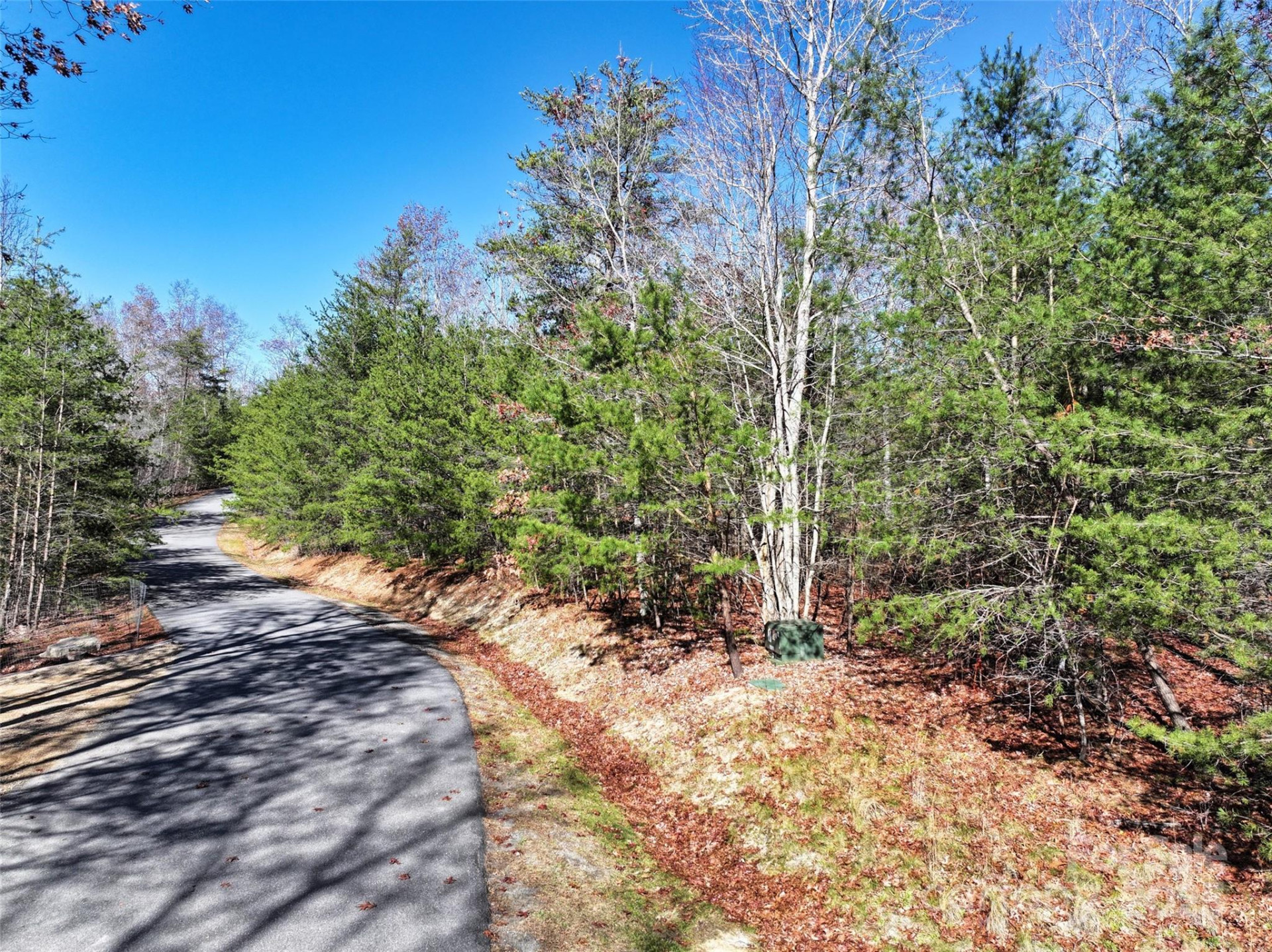 181 Red Fox Trail #18 - Photo 8