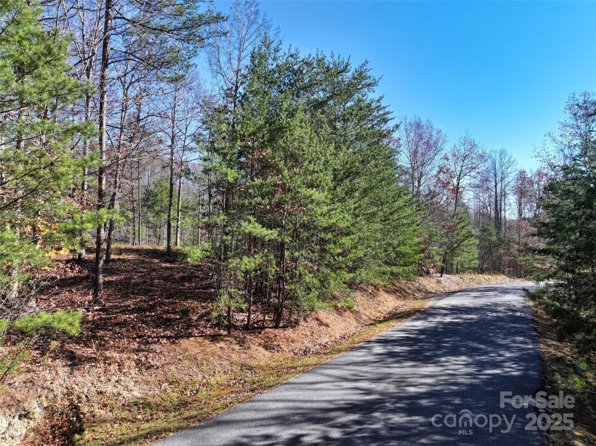 181 Red Fox Trail #18 - Photo 9