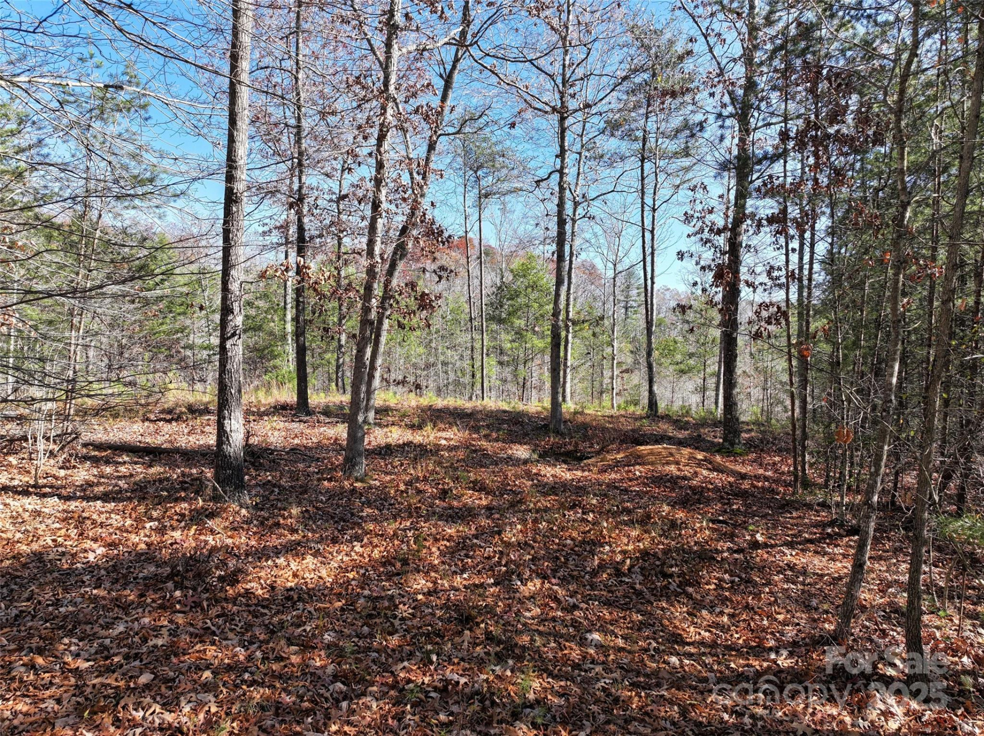 181 Red Fox Trail #18 - Photo 10