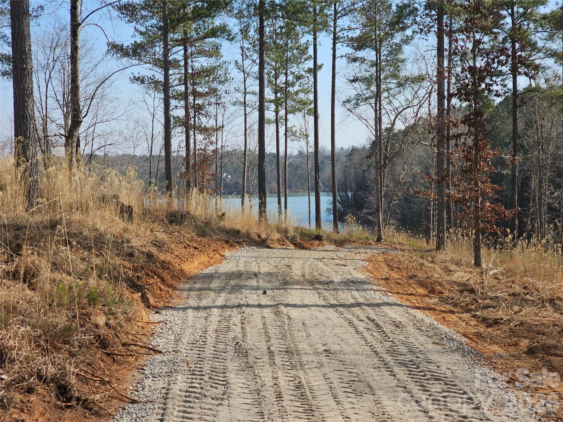 2372 Princeton Mountain None #70 - Photo 2