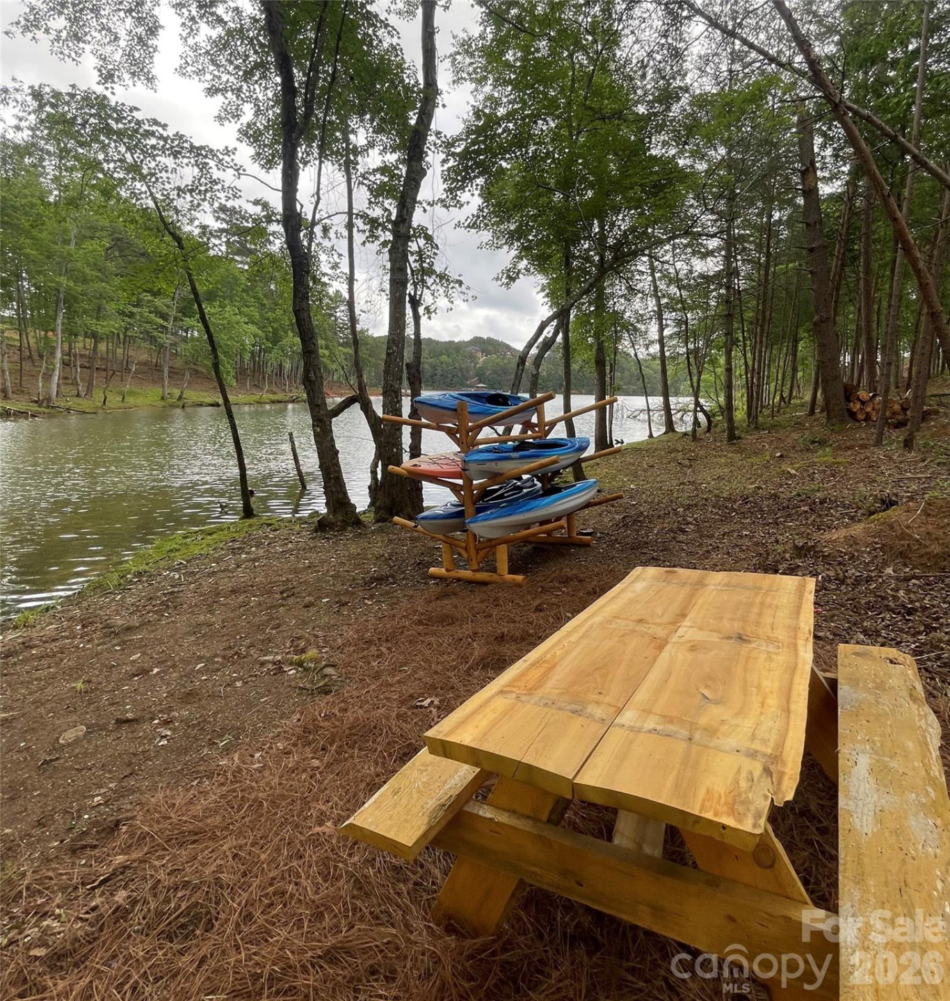 2372 Princeton Mountain None #70 - Photo 26