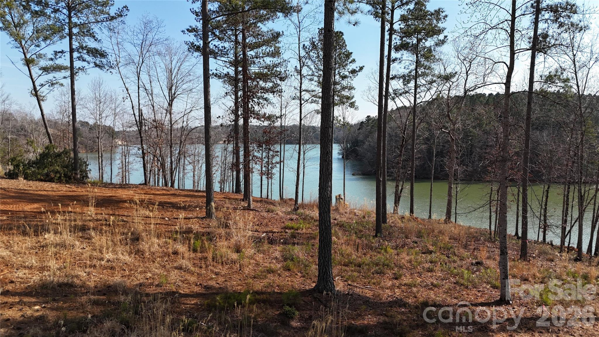 2372 Princeton Mountain None #70 - Photo 5