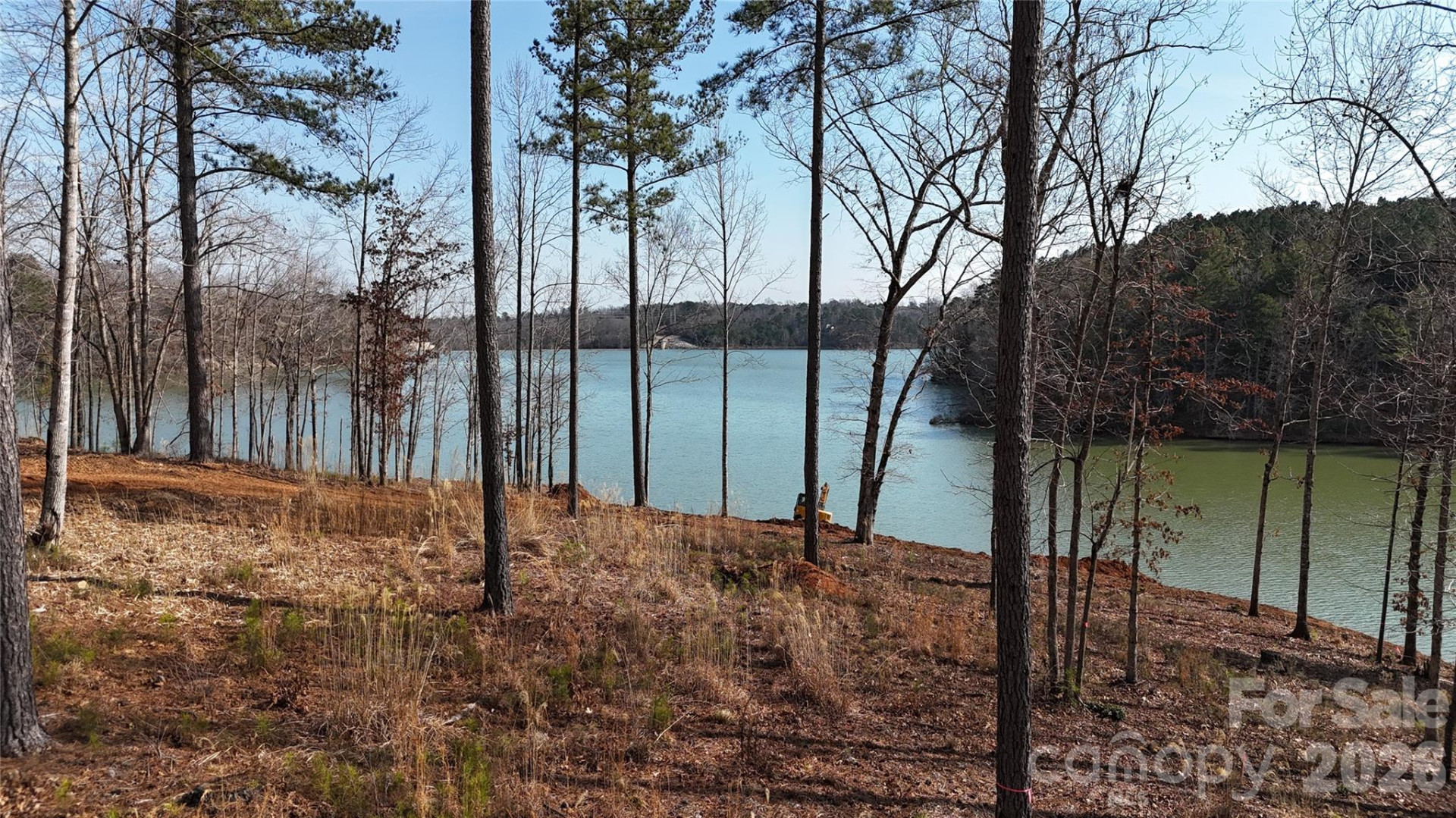 2372 Princeton Mountain None #70 - Photo 8