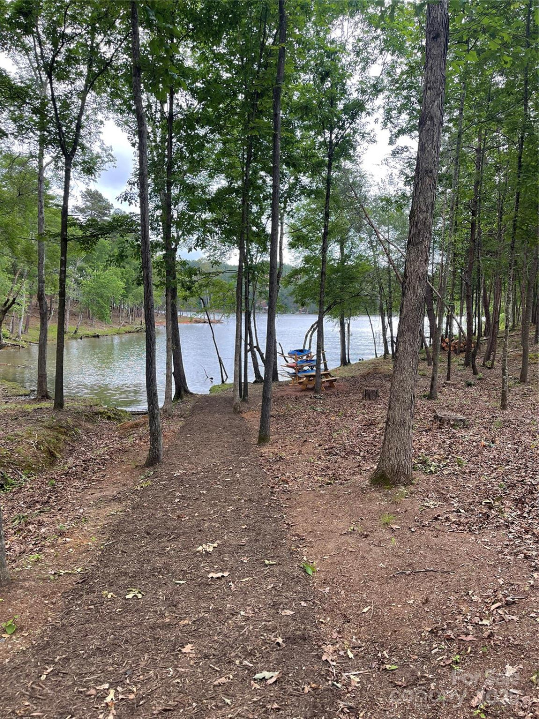 3318 Pyramid Peak Trail #212 - Photo 16