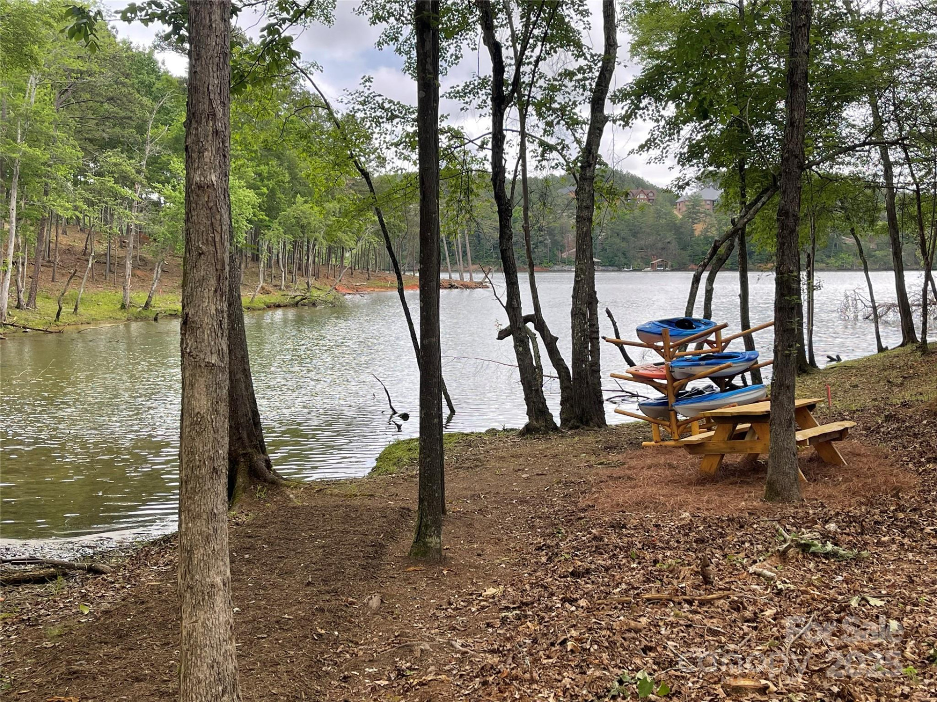 3318 Pyramid Peak Trail #212 - Photo 17