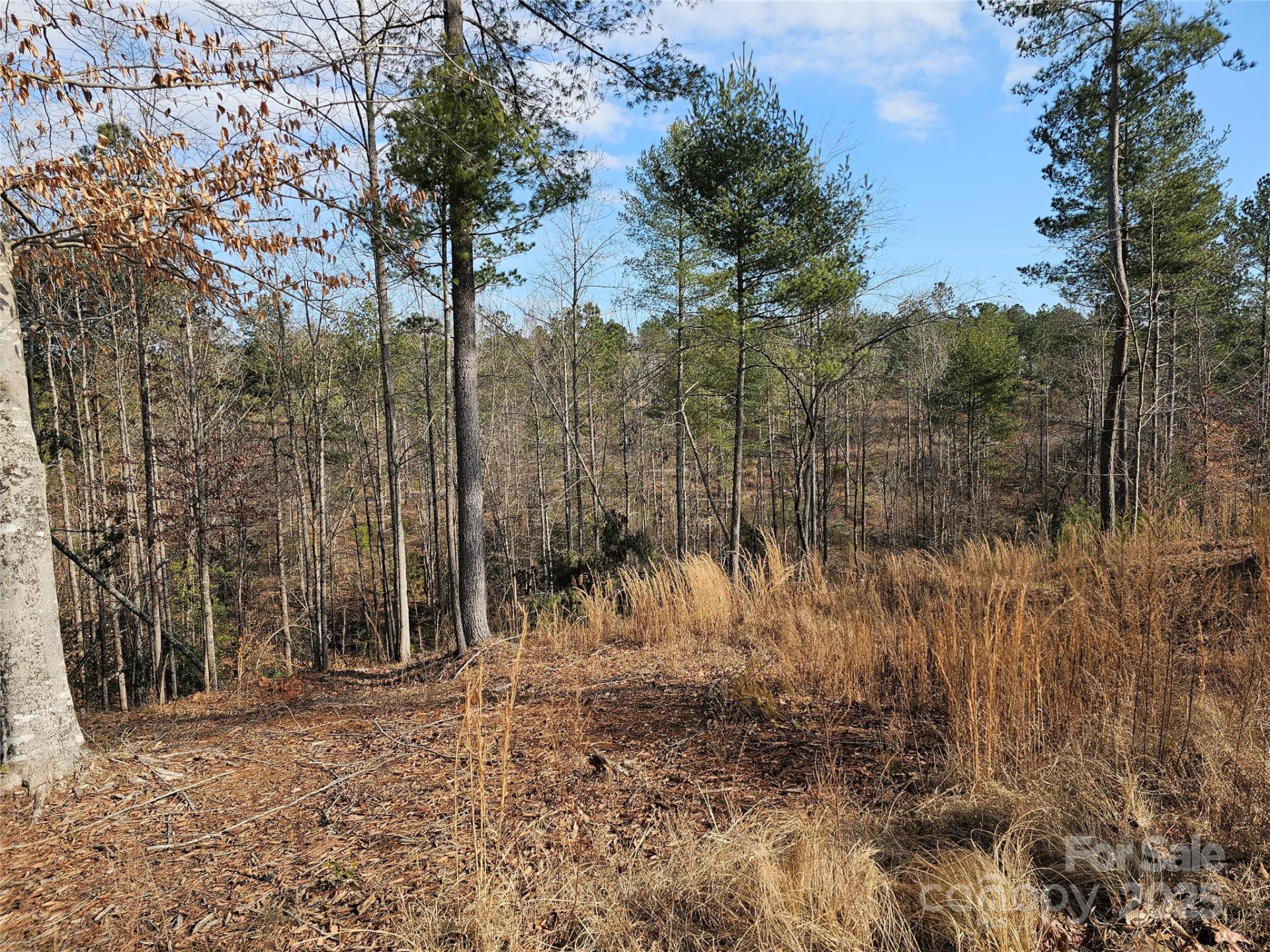 3318 Pyramid Peak Trail #212 - Photo 6