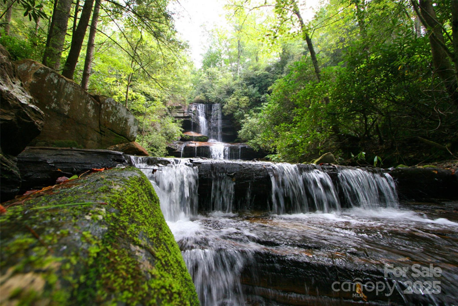 Lot 64 Peppervine Circle - Photo 12