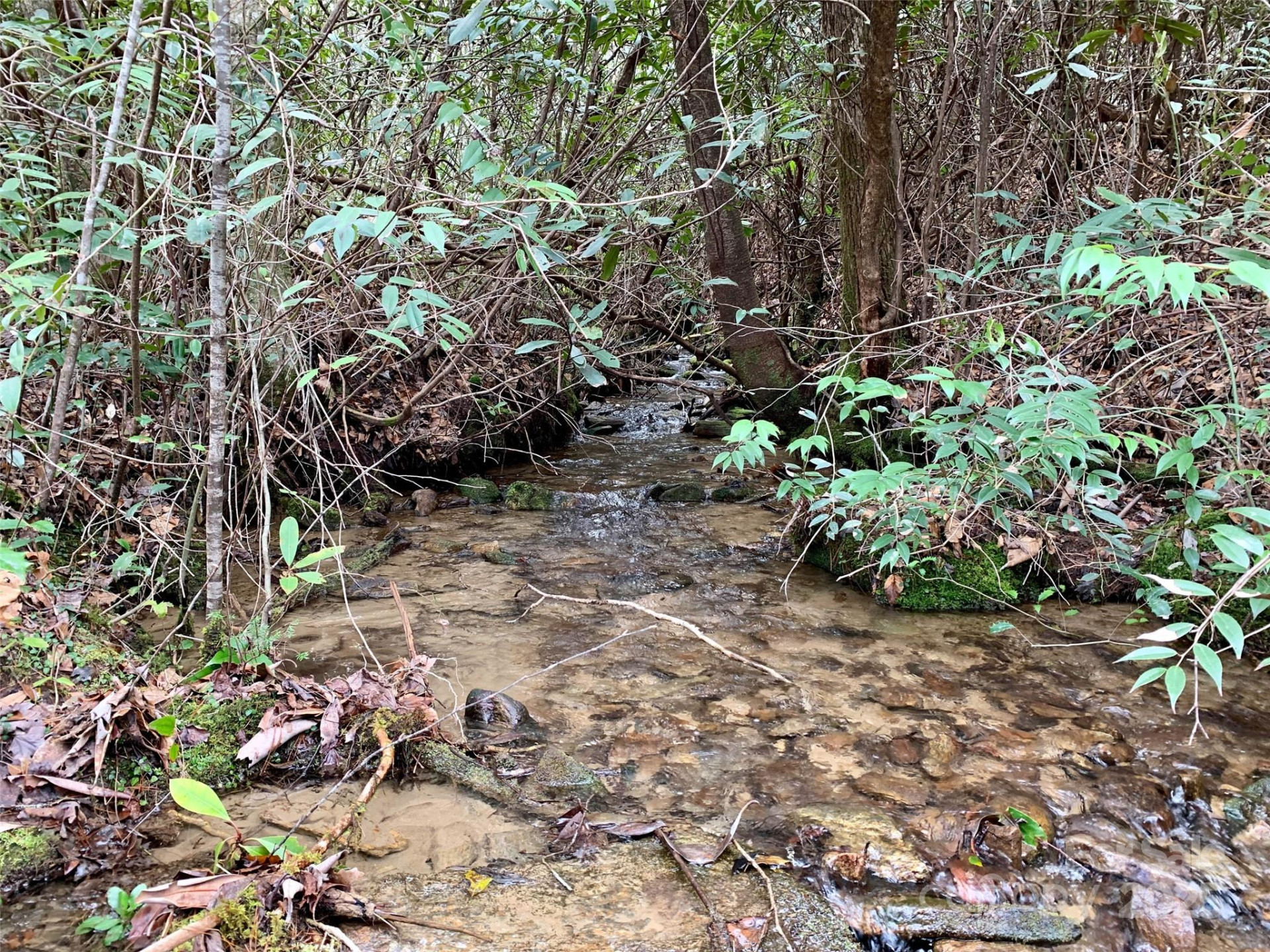 Lot 64 Peppervine Circle - Photo 3