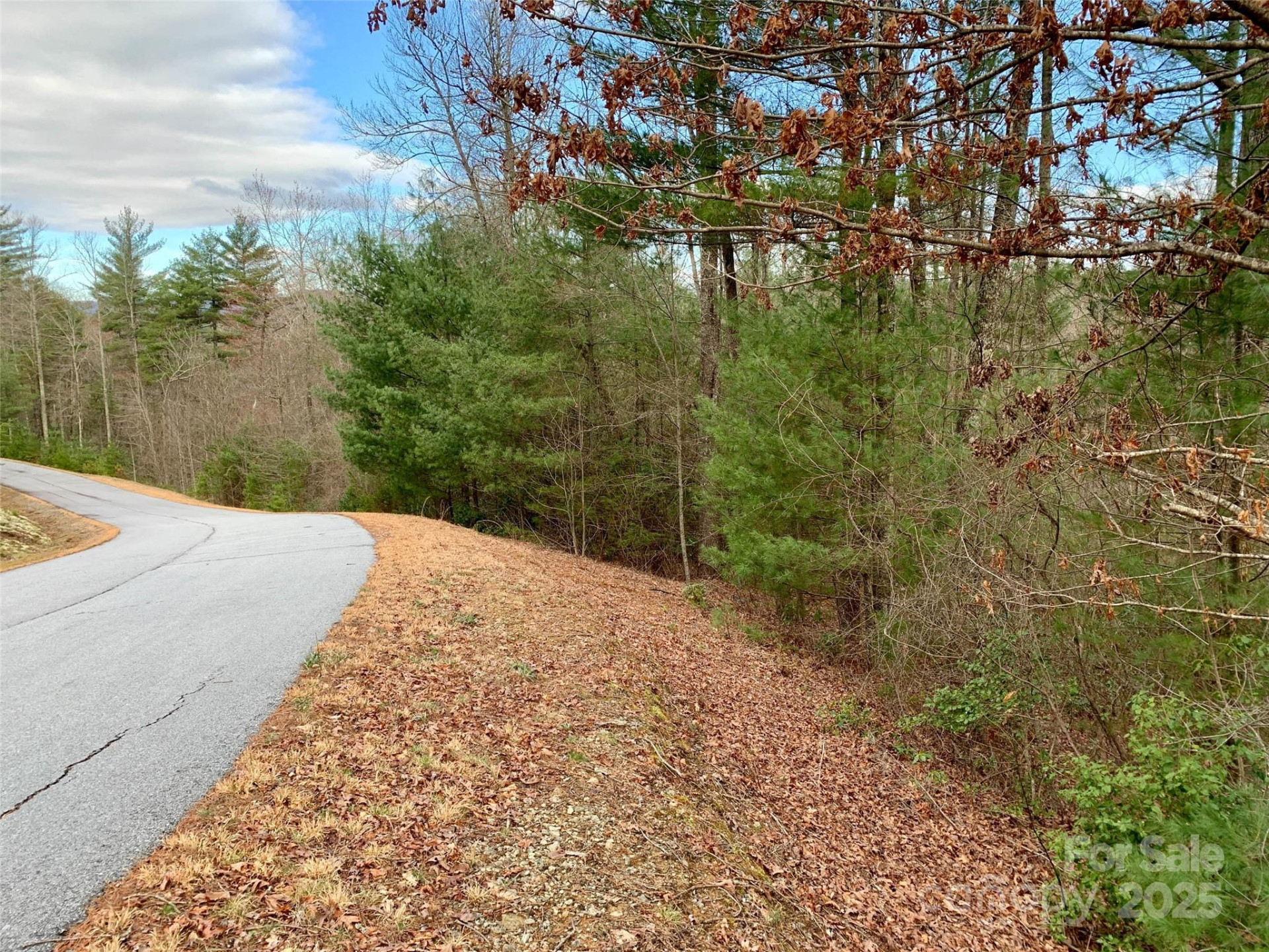 Lot 64 Peppervine Circle - Photo 9