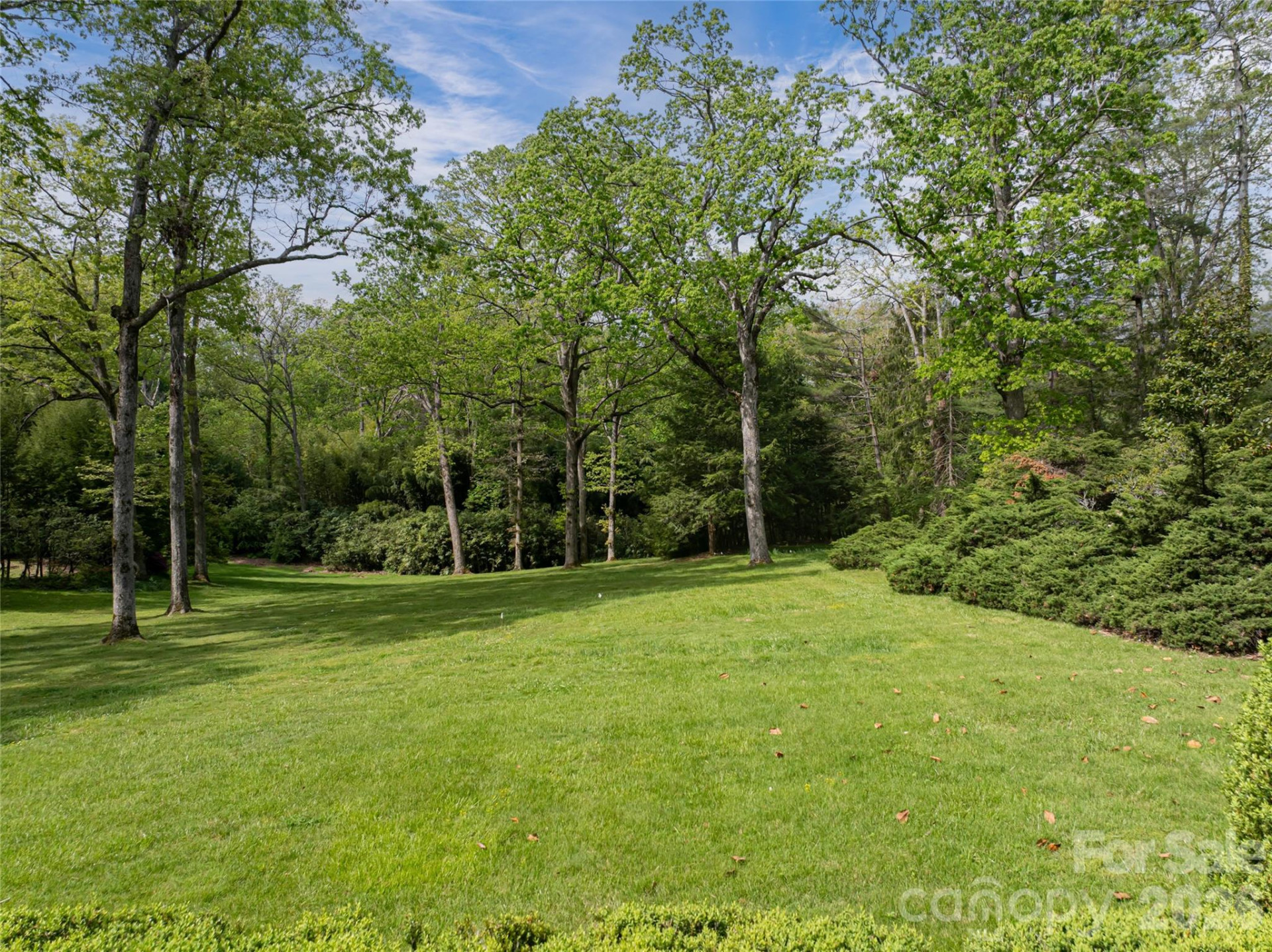 407 Vanderbilt Road - Photo 45
