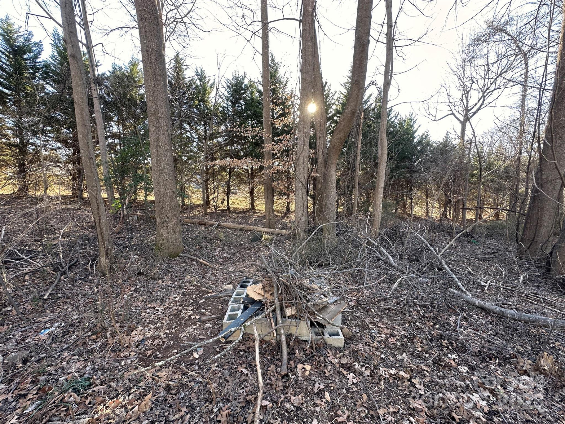 113 Highlander Street - Photo 27