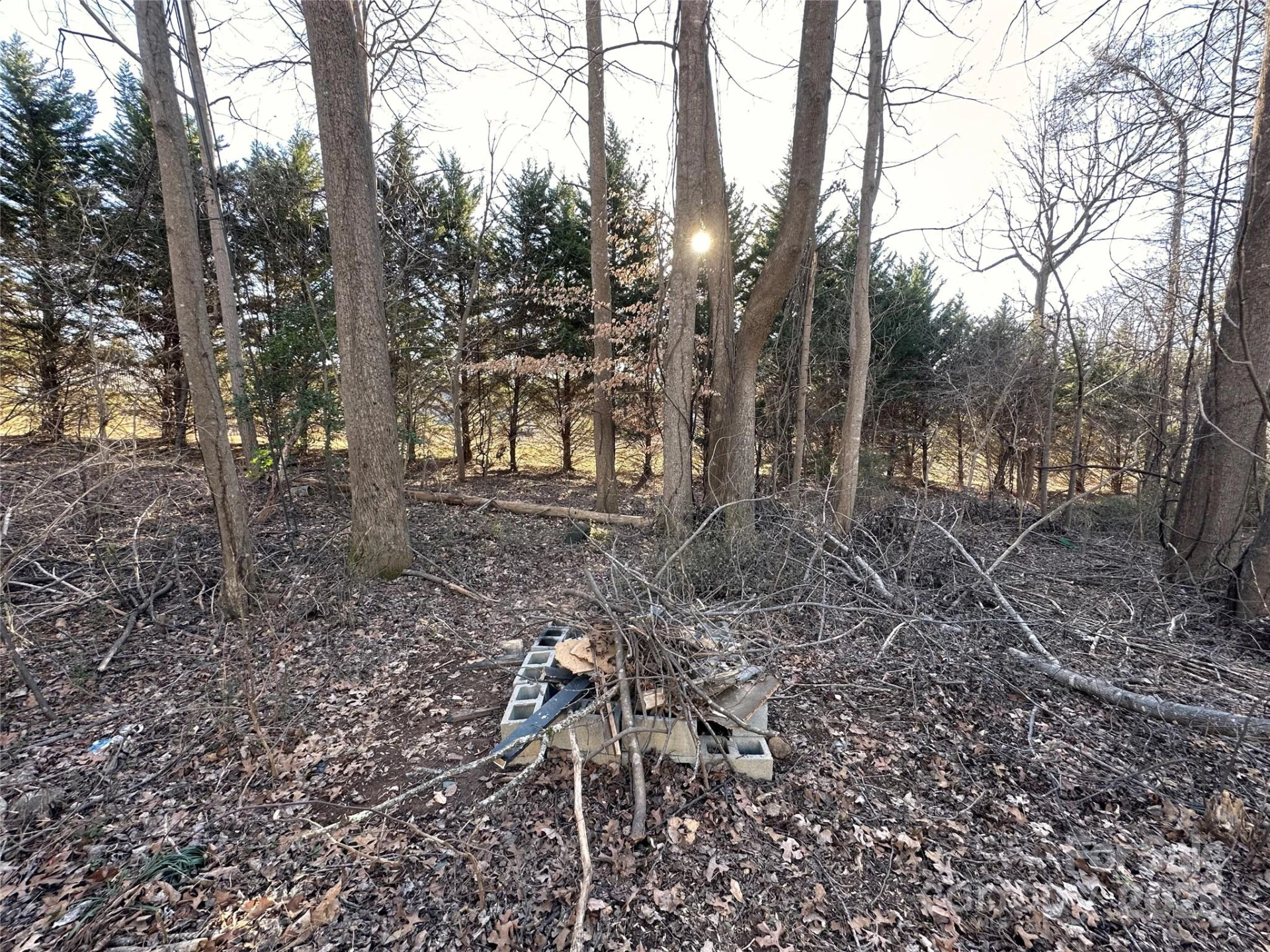113 Highlander Street - Photo 27