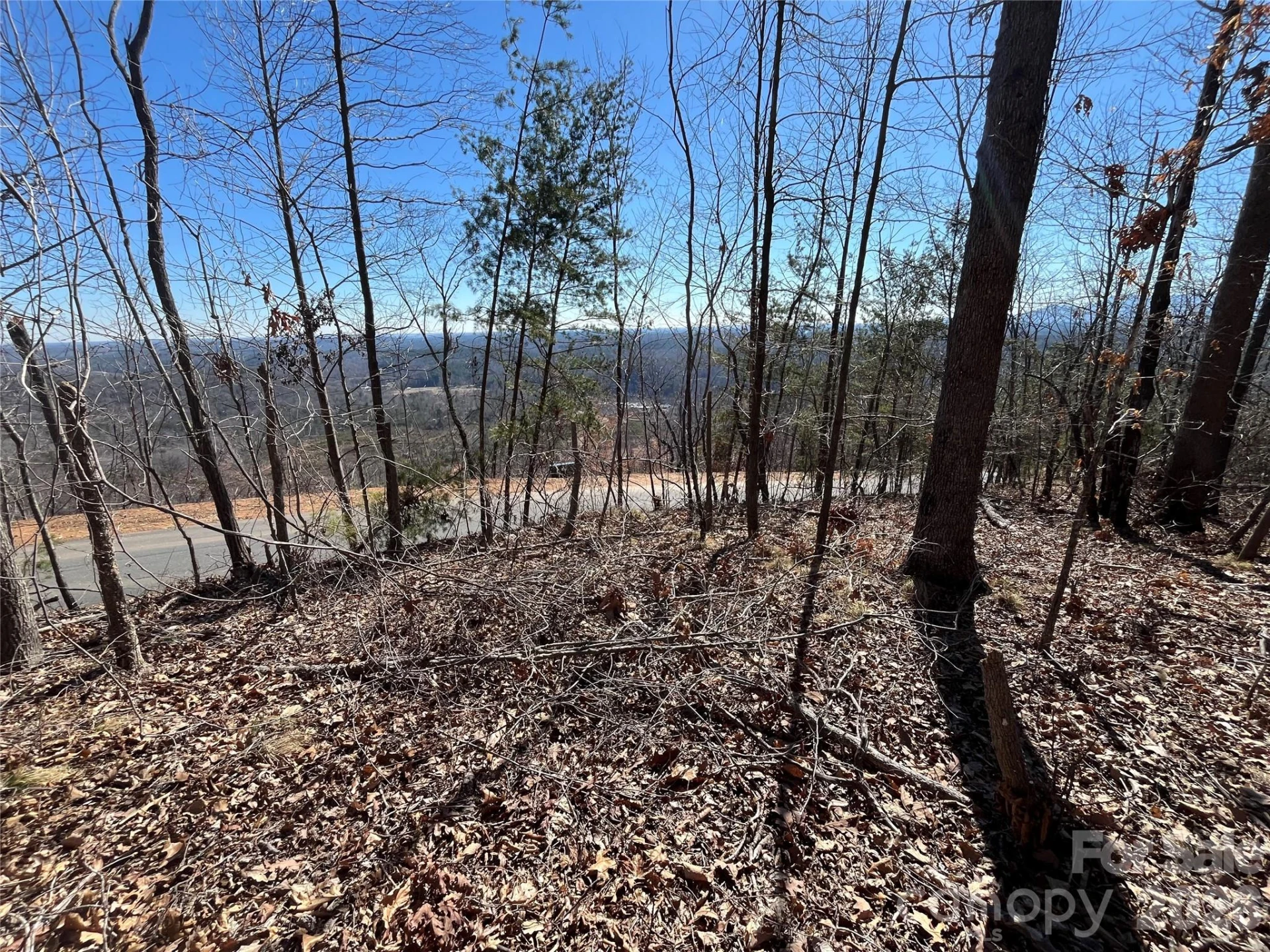 0 Bills Mountain Trail #7