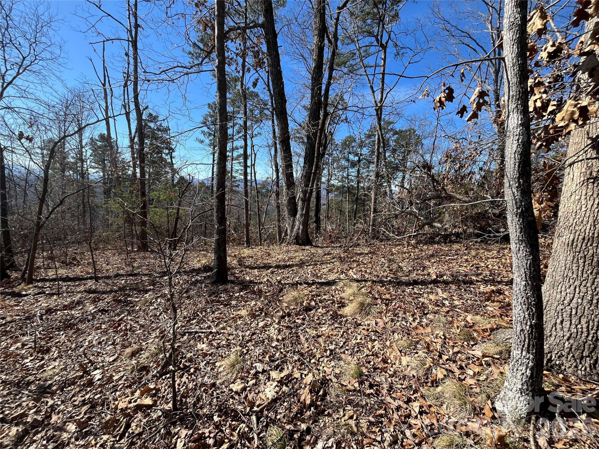 0 Bills Mountain Trail #7 - Photo 2