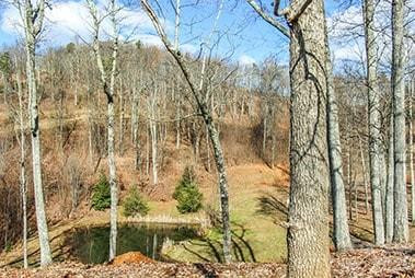 0 Bills Mountain Trail #7 - Photo 20