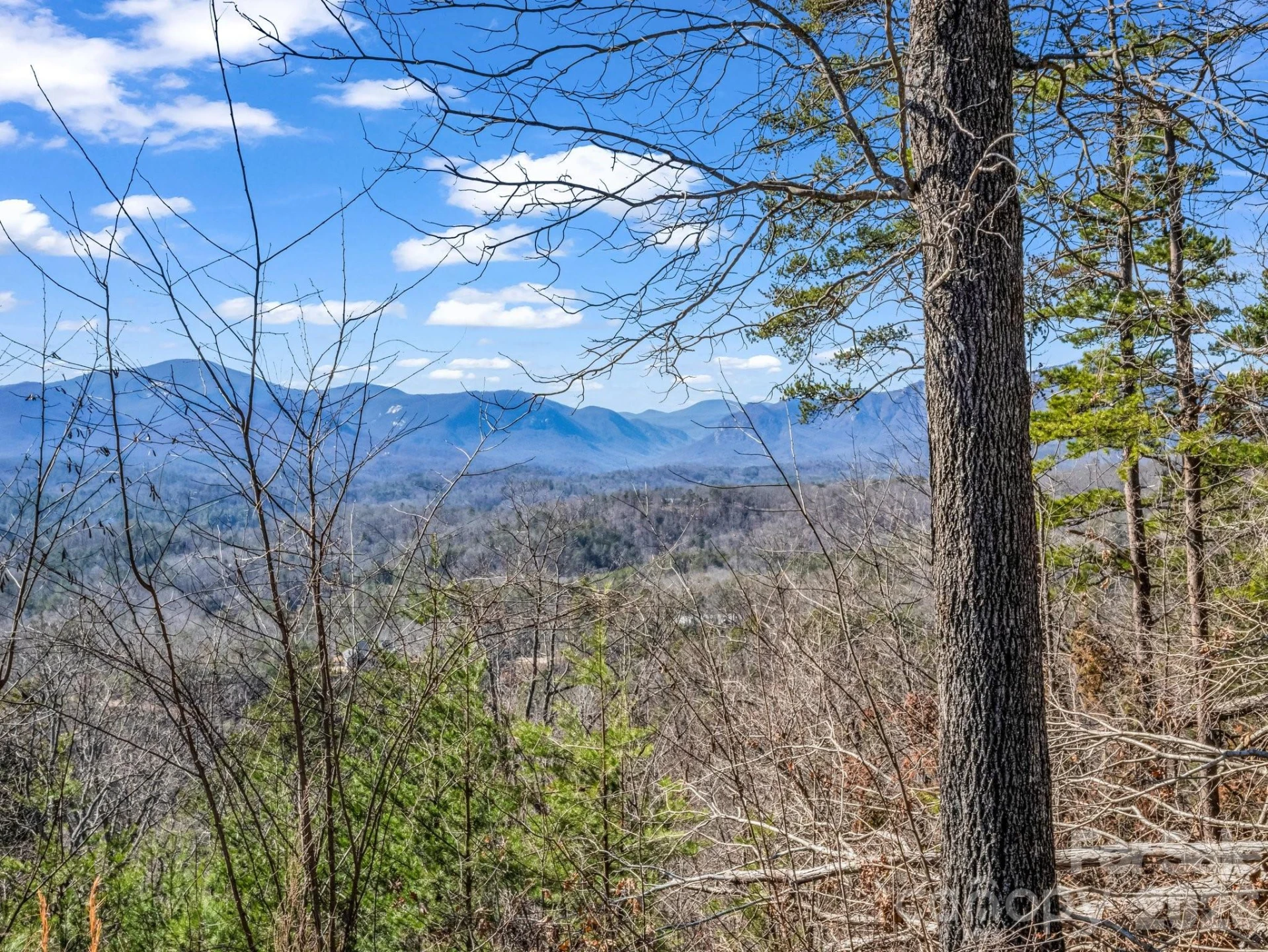0 Bills Mountain Trail #7 - Photo 3