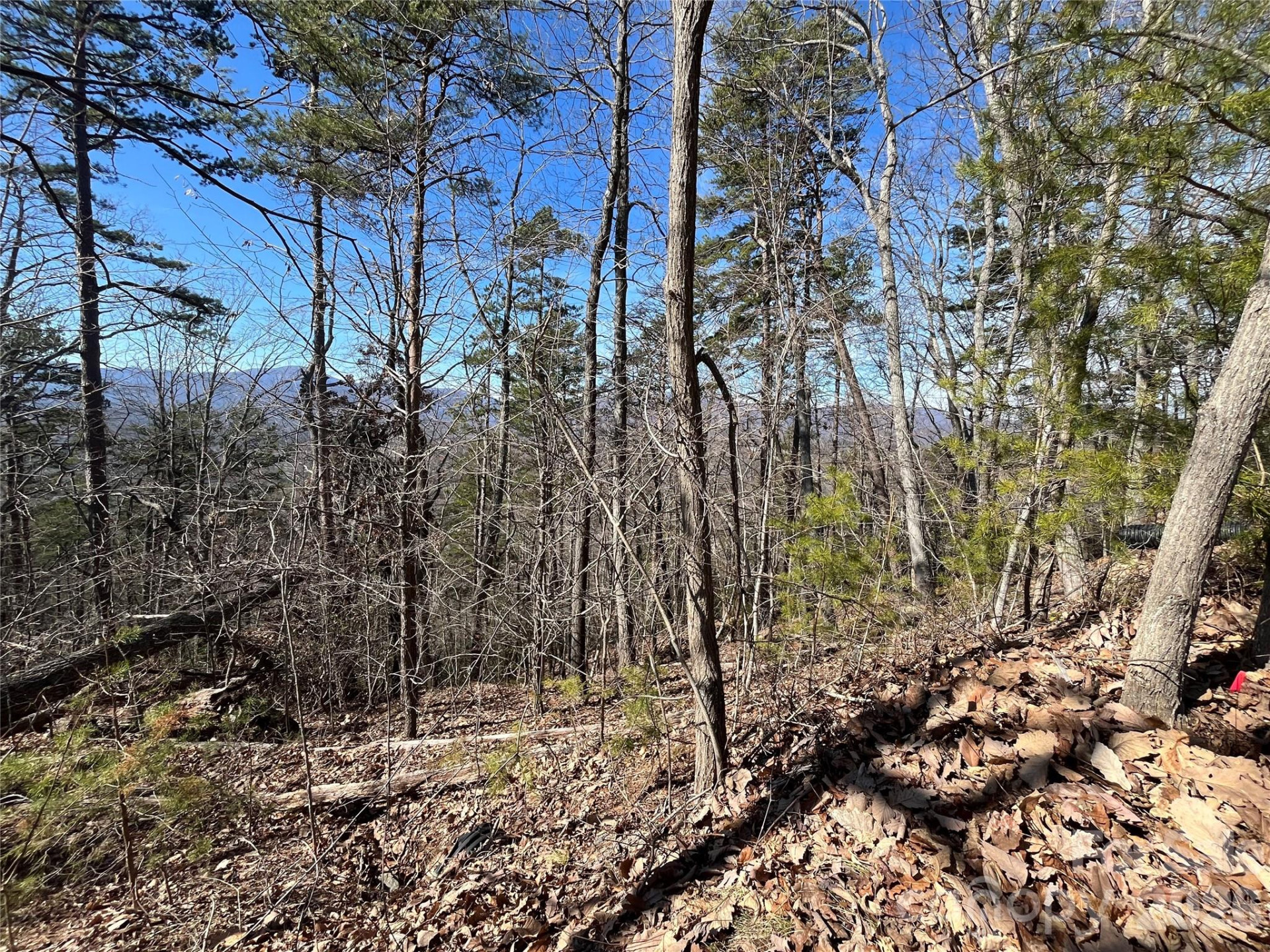 0 Bills Mountain Trail #7 - Photo 22