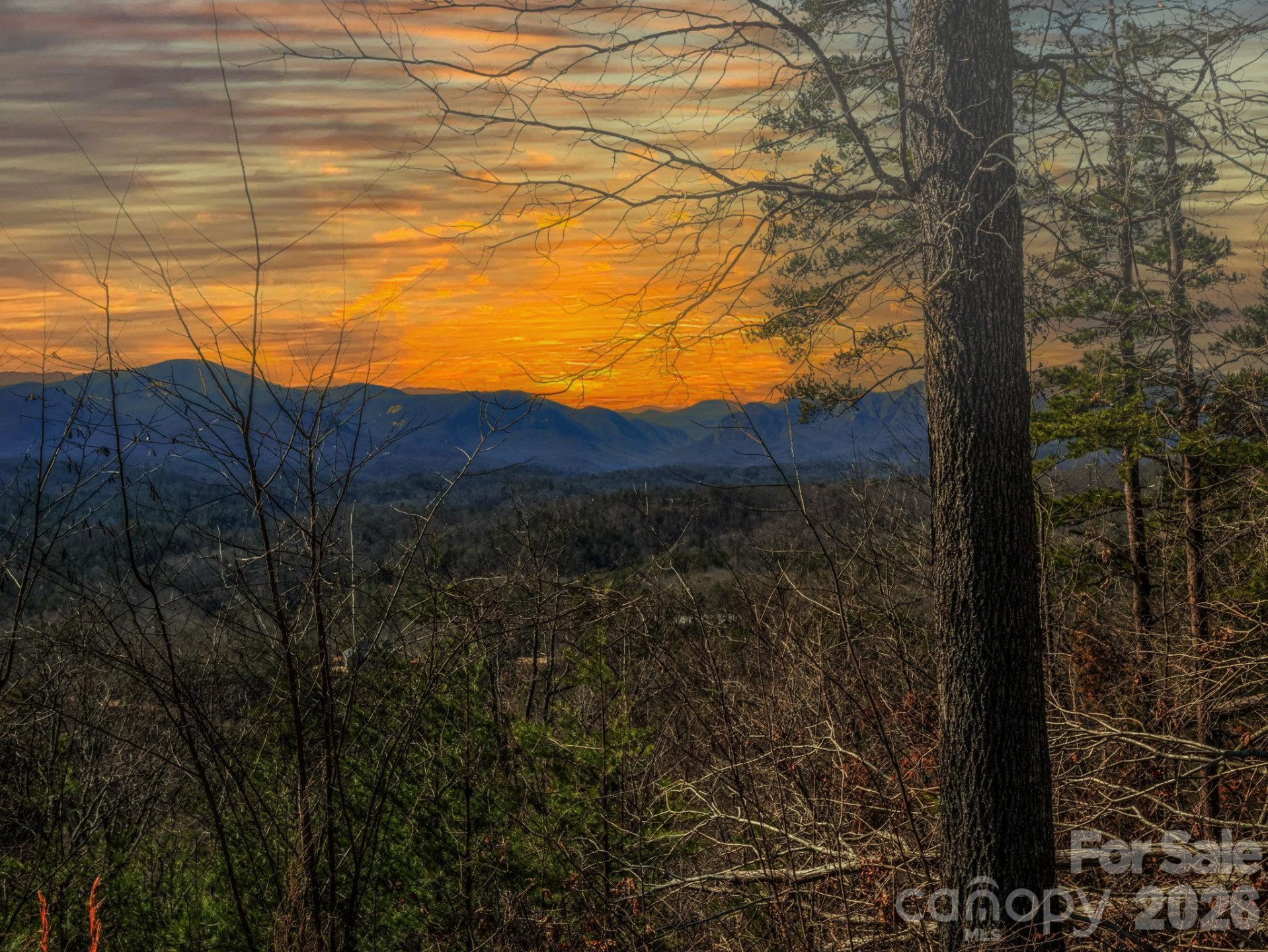 0 Bills Mountain Trail #7 - Photo 4