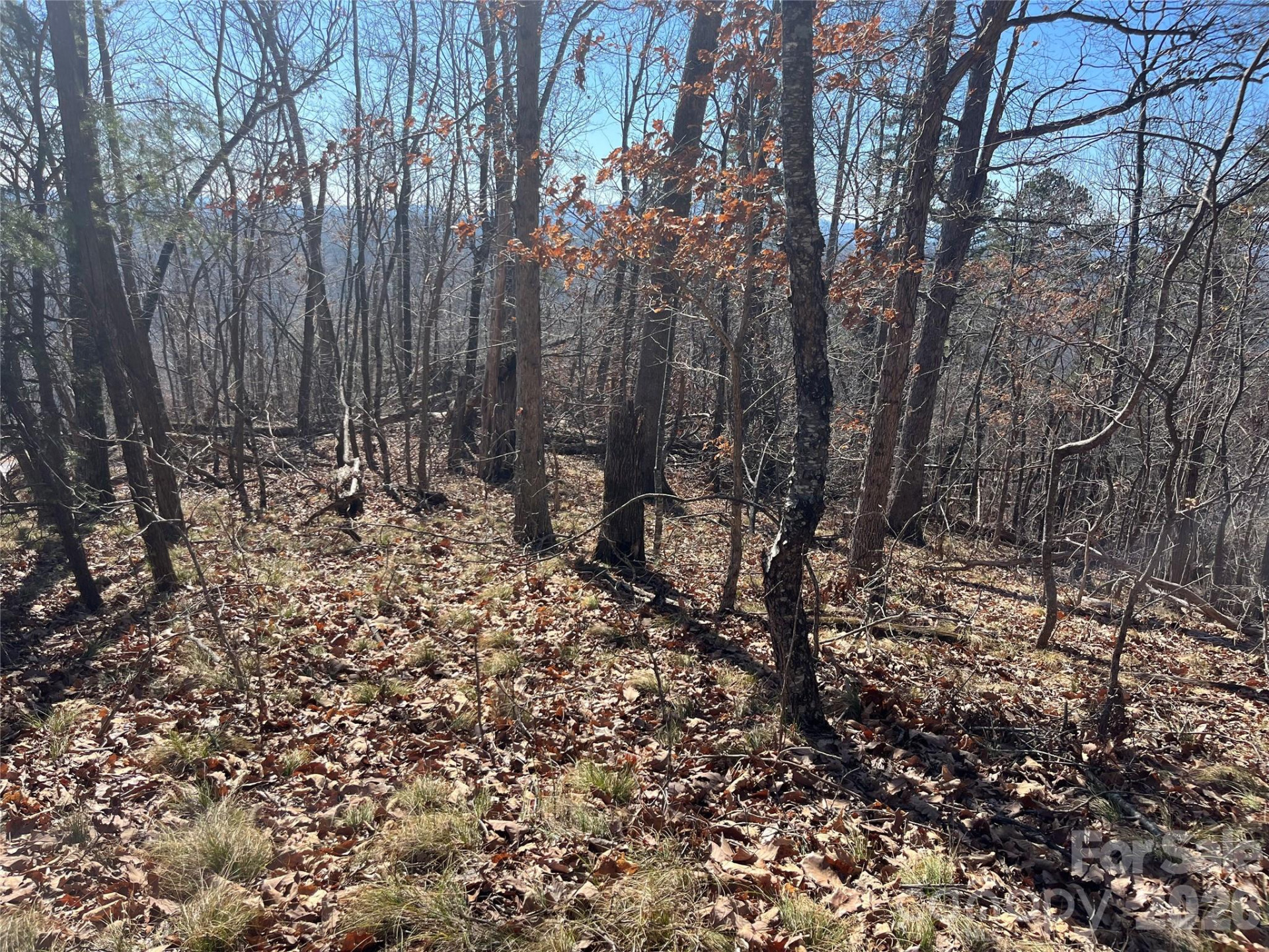 0 Bills Mountain Trail #7 - Photo 5