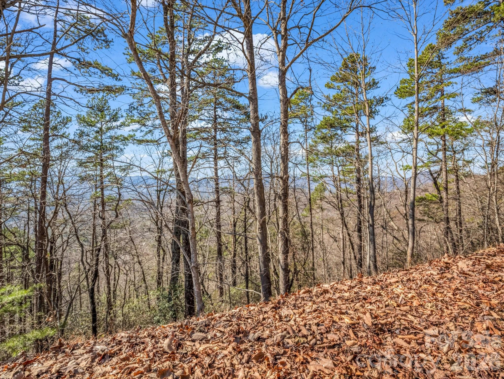 0 Bills Mountain Trail #7 - Photo 7