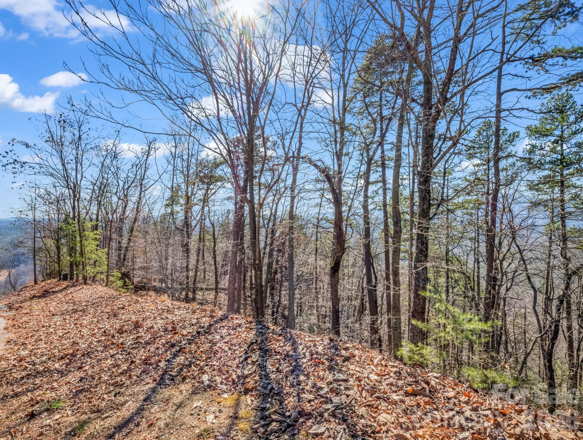 0 Bills Mountain Trail #7 - Photo 8