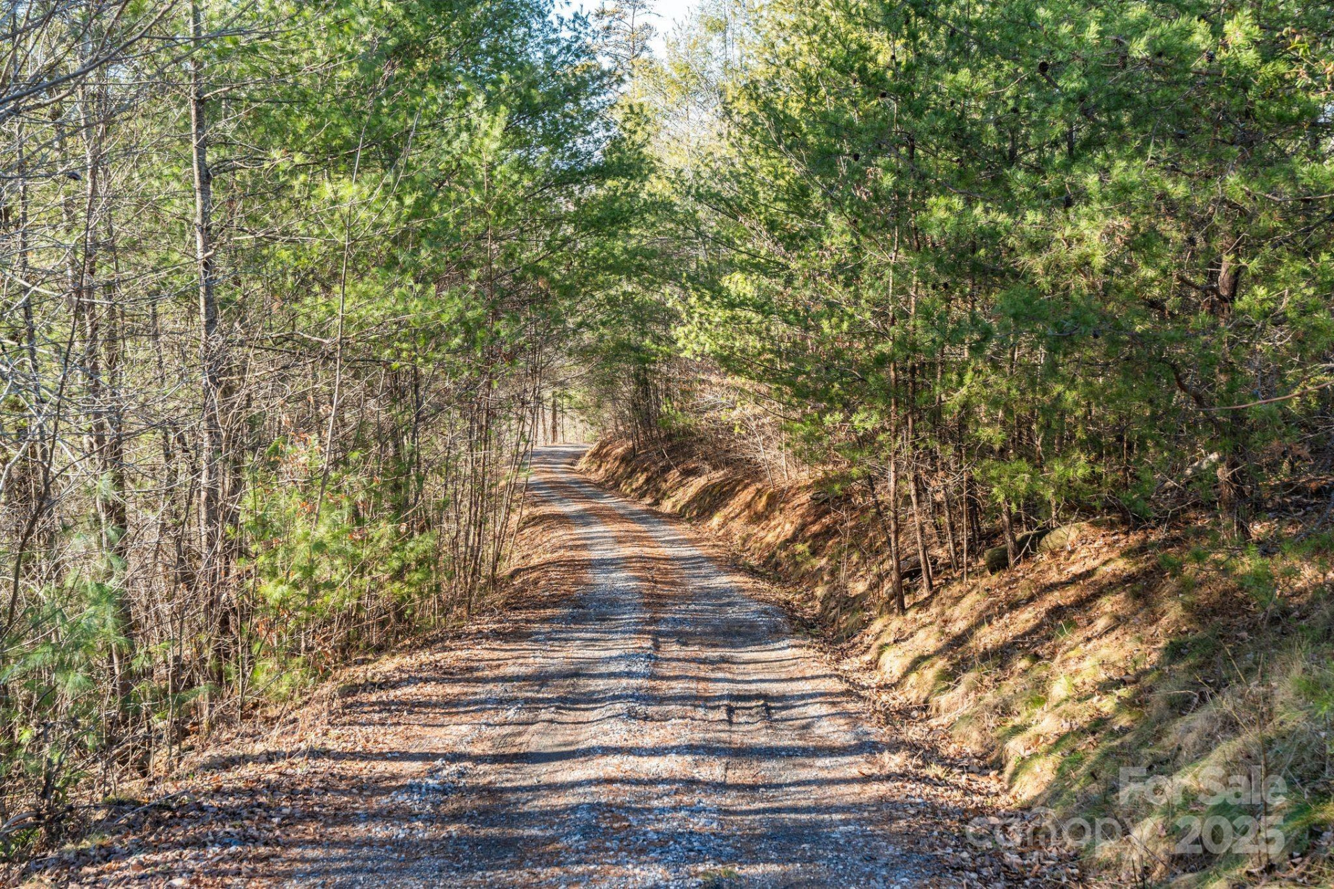 131 Ivy Bluff Road #3 - Photo 5