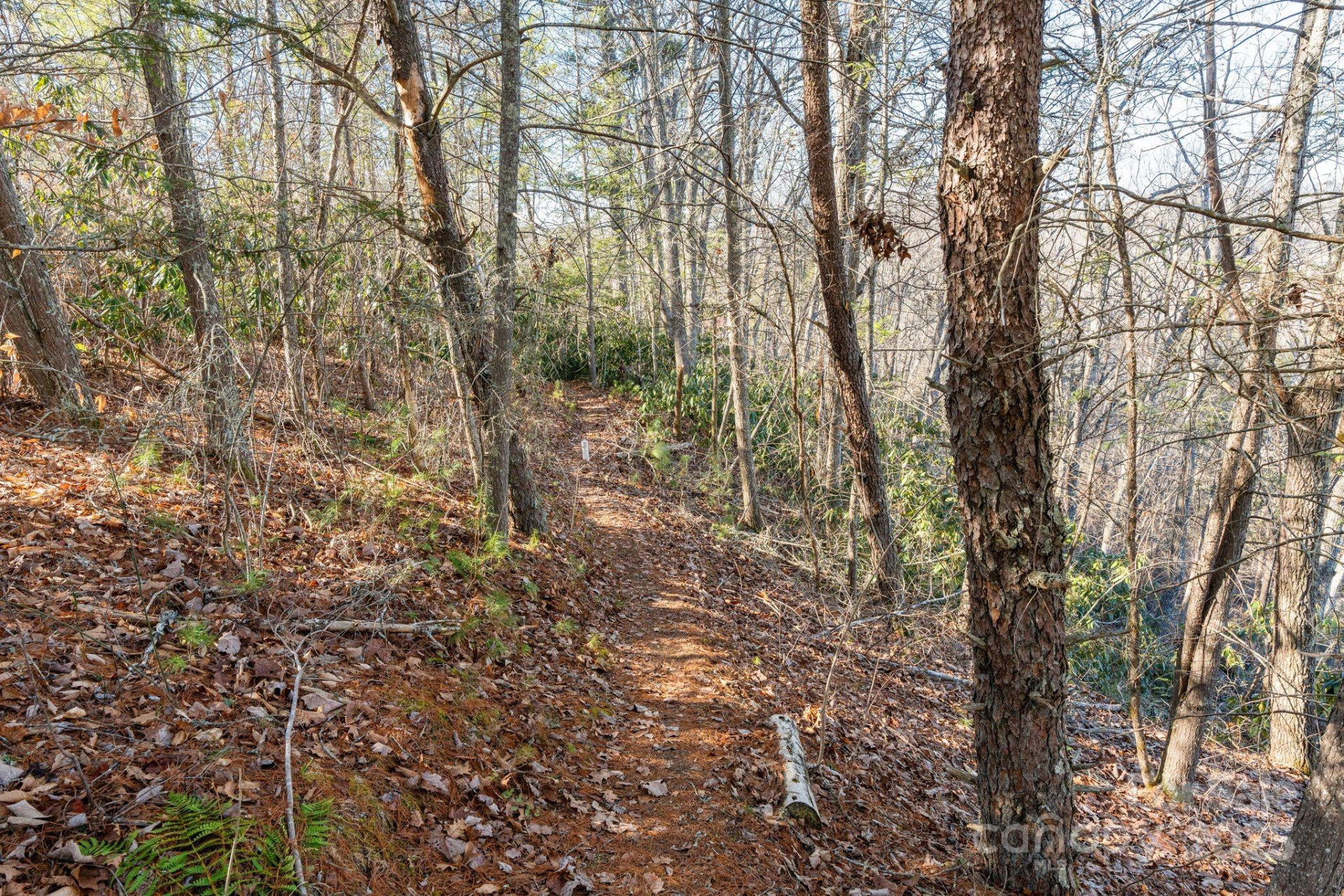 131 Ivy Bluff Road #3 - Photo 7