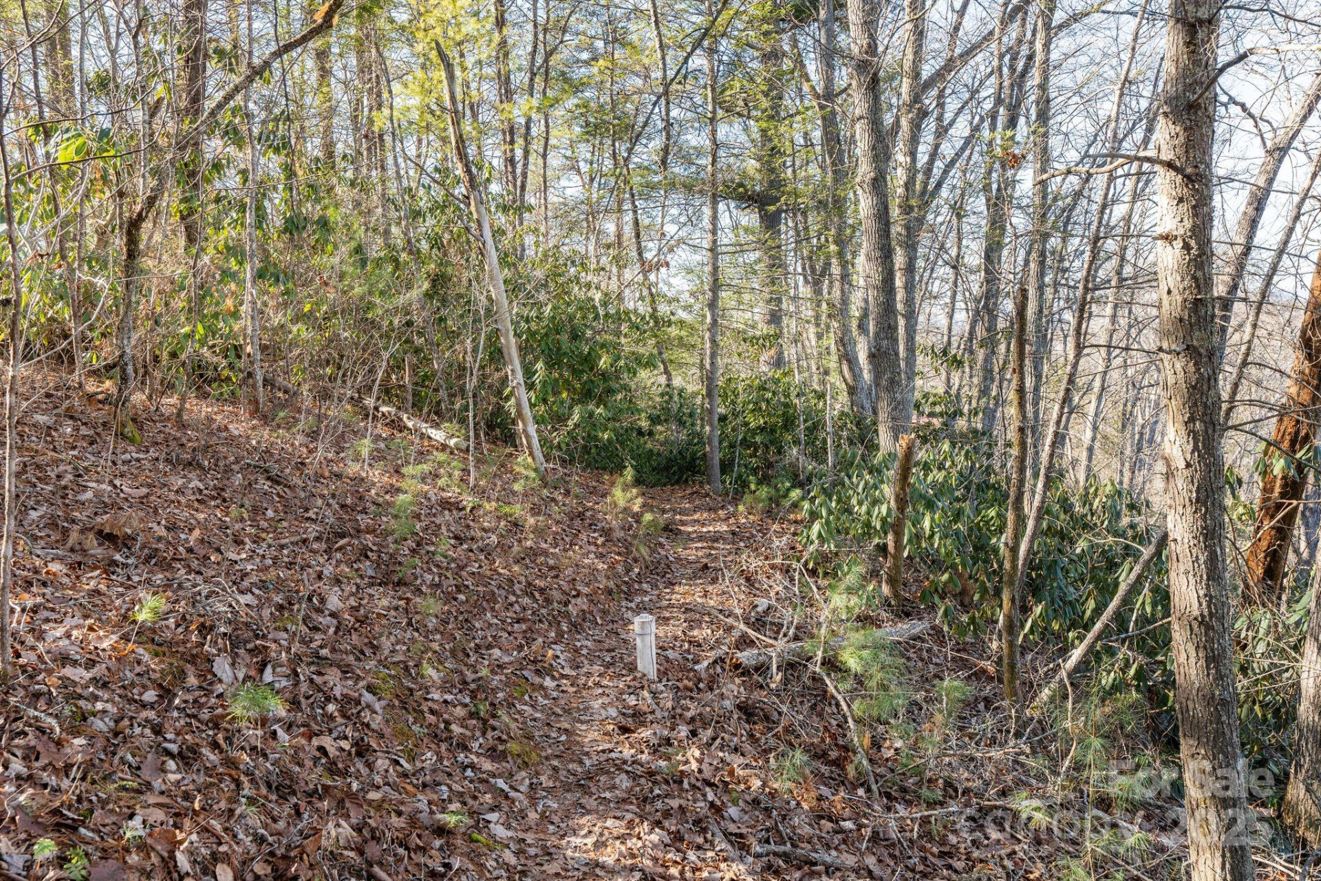 131 Ivy Bluff Road #3 - Photo 8