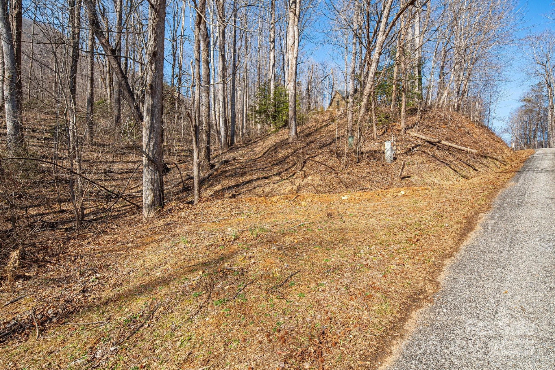 000 Blue Ridge Drive #164 - Photo 2